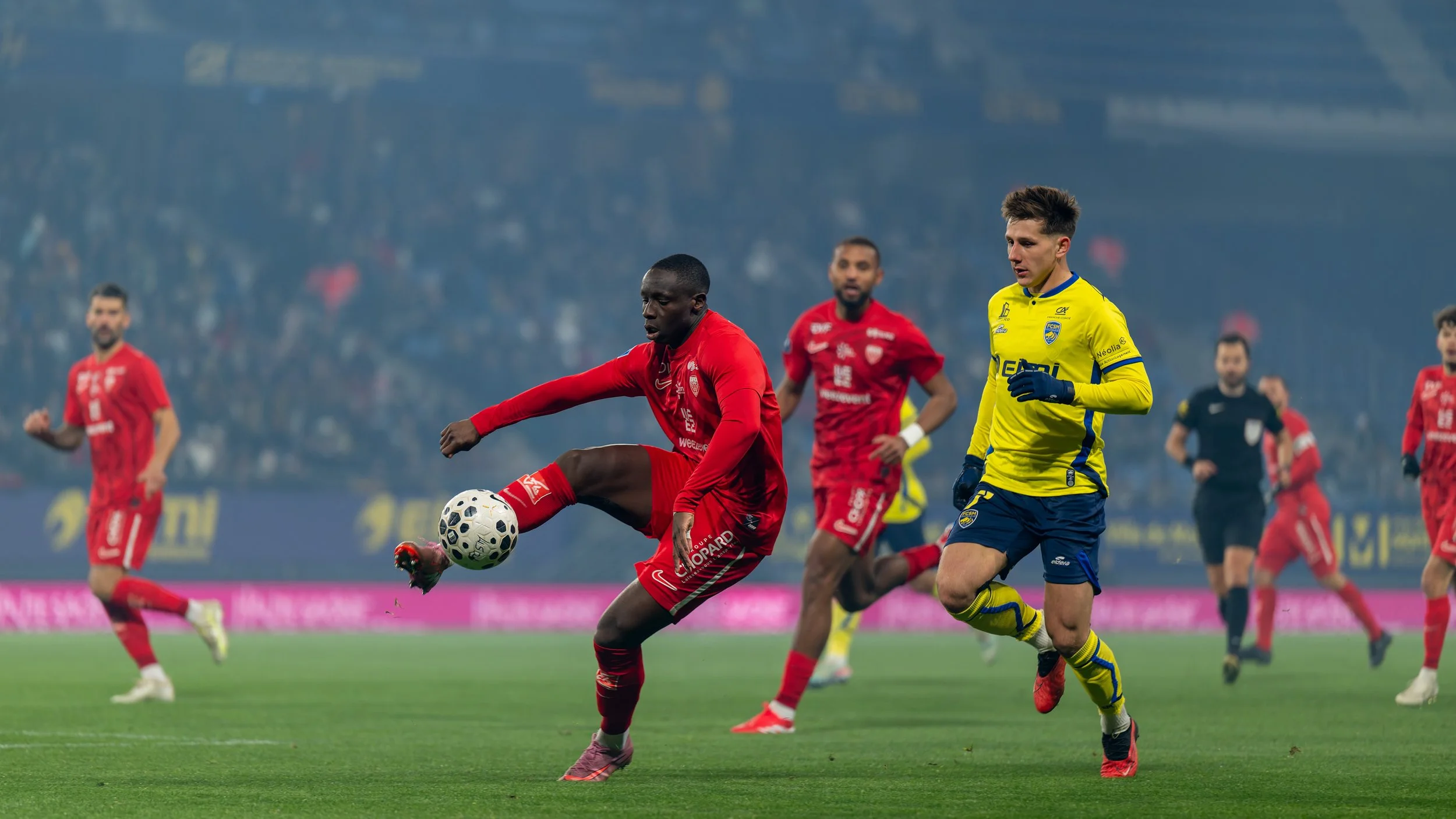 _DSC4562-DxO_DeepPRIME XD2s-3.jpg