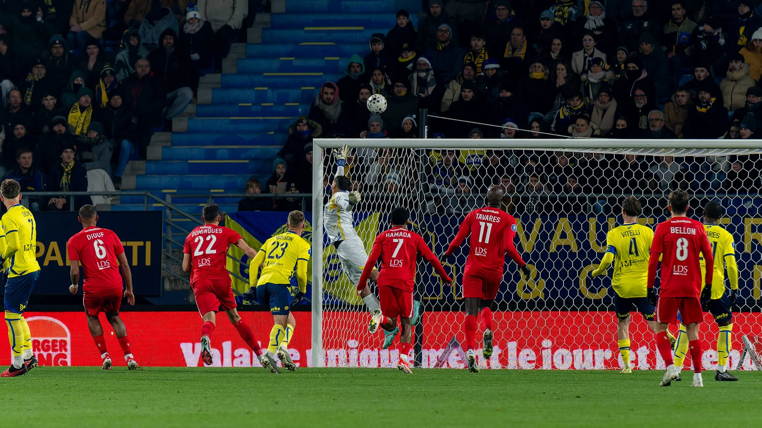 _DSC4776-DxO_DeepPRIME XD2s-1.jpg