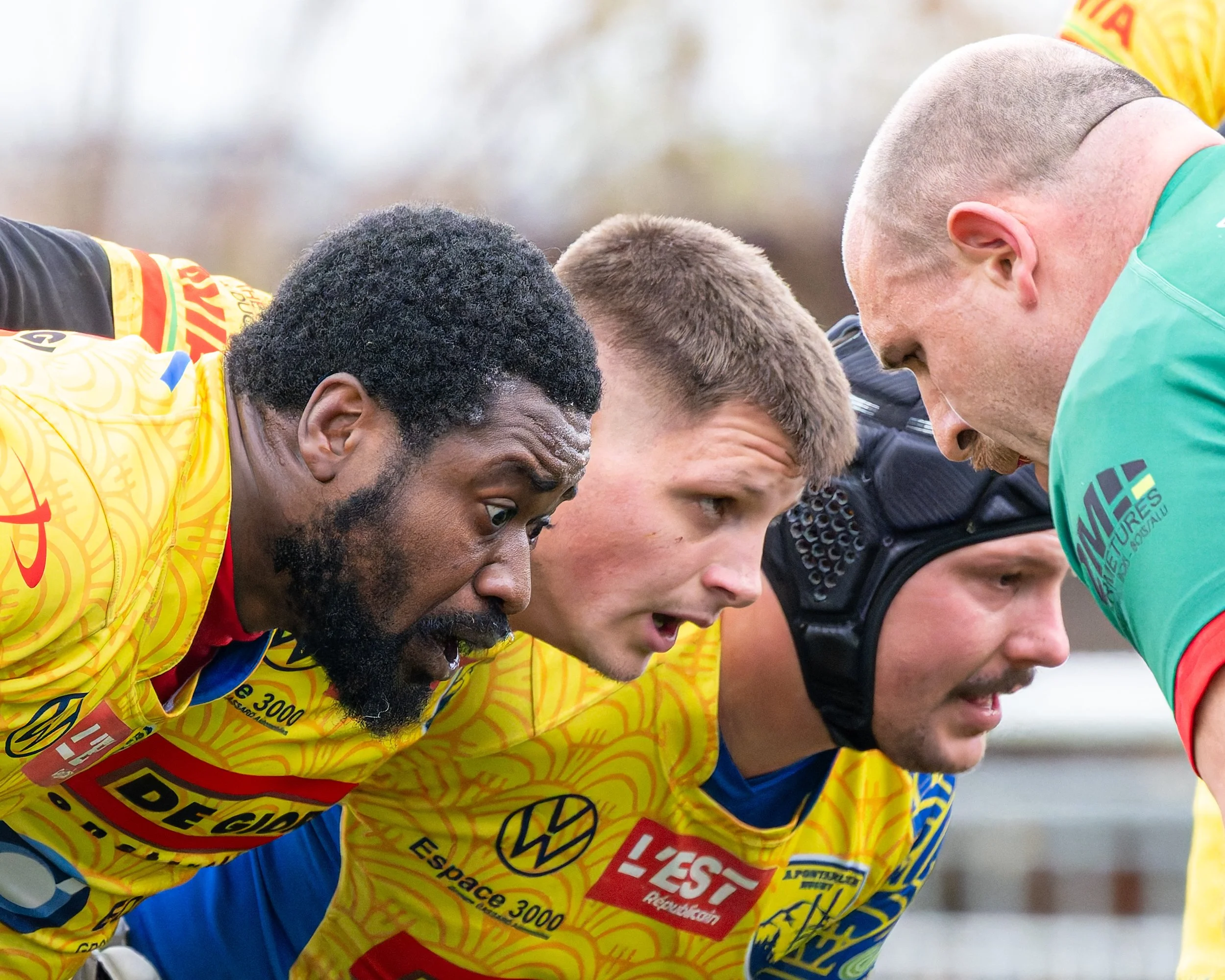 16112025-_DSC3740-DxO_DeepPRIME XD2s.jpg