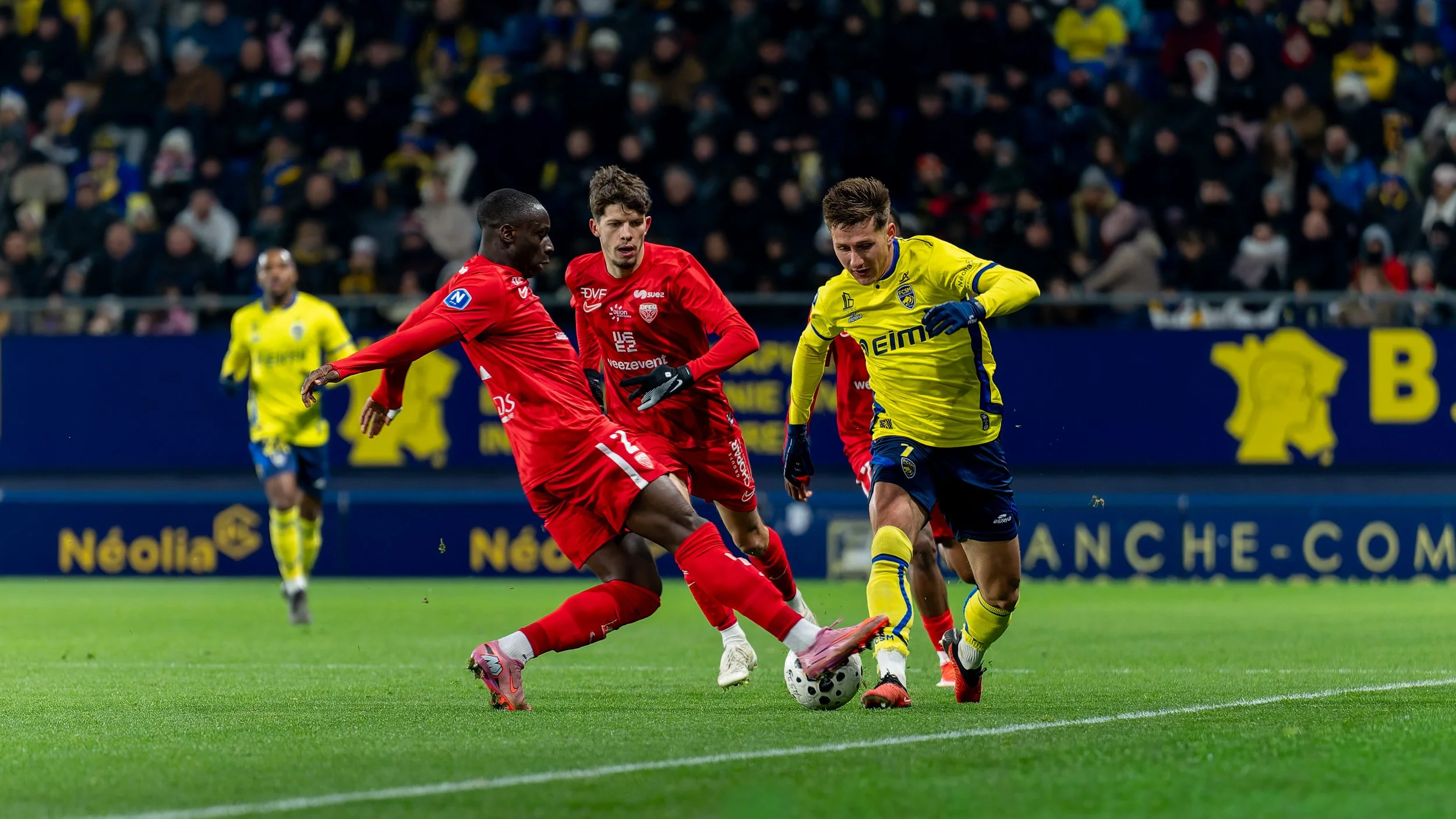 _DSC4942-DxO_DeepPRIME XD2s-10.jpg