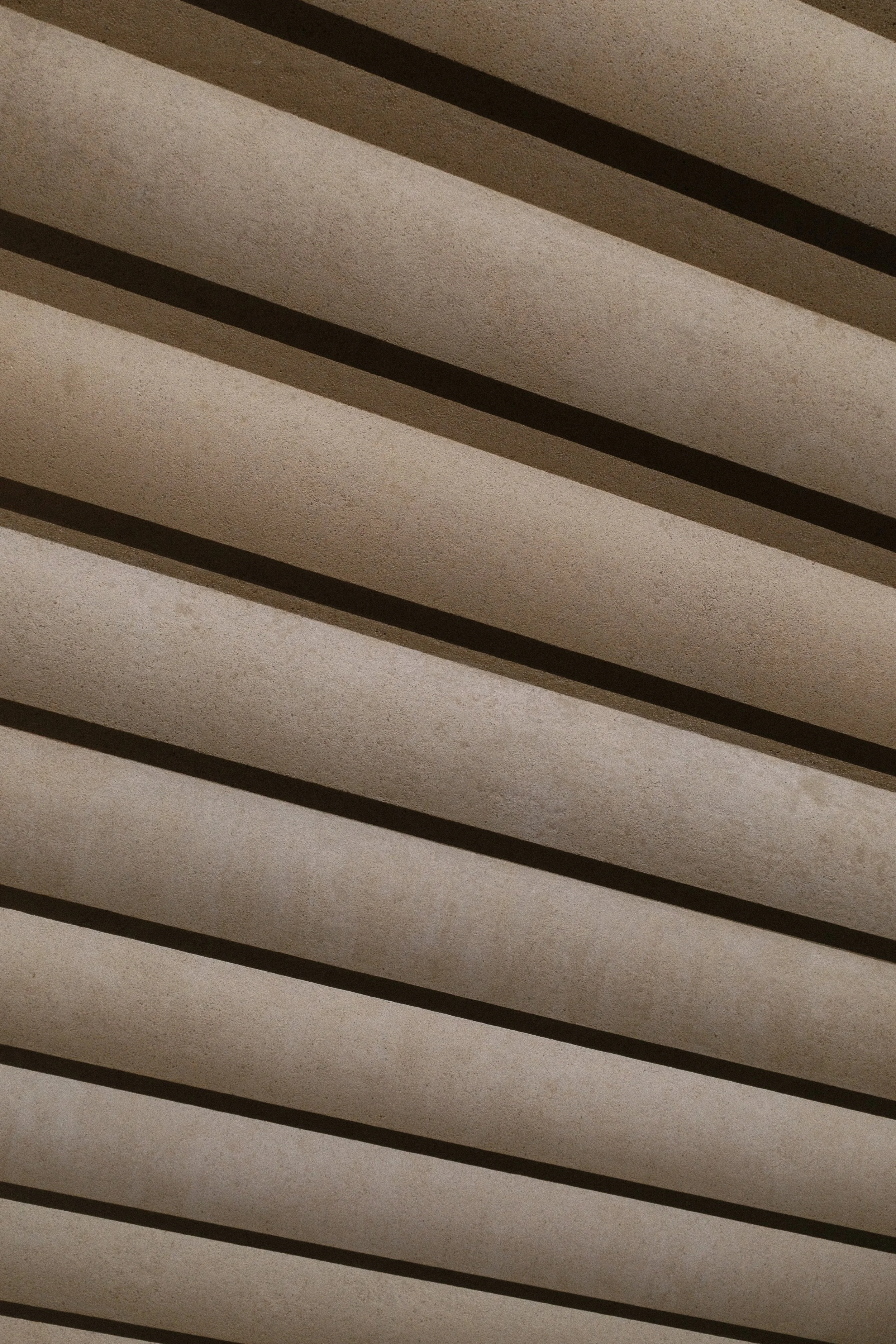 women fitness accountability program