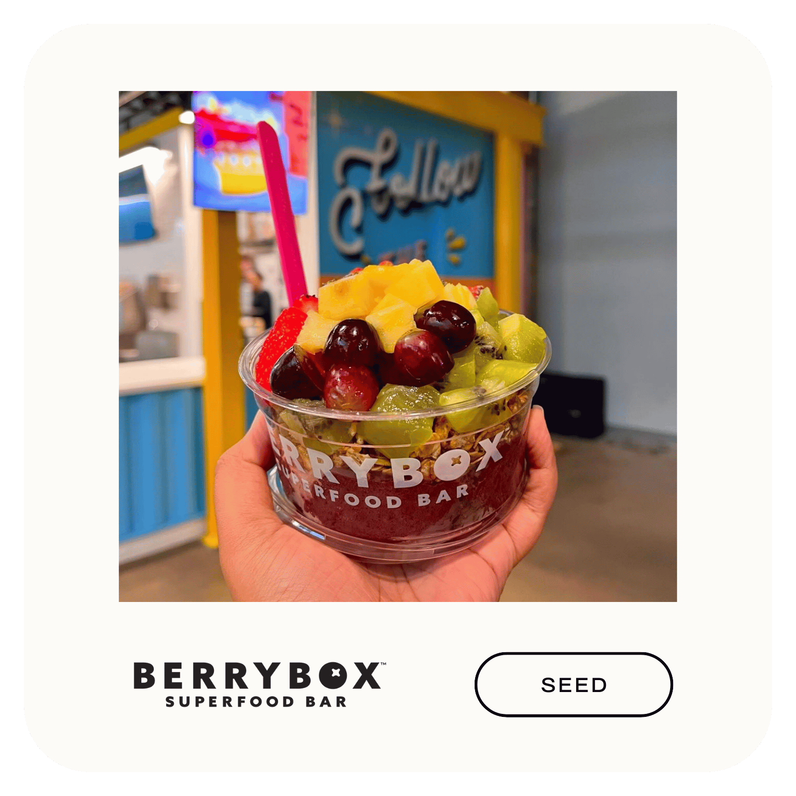 berrybox superfood bar