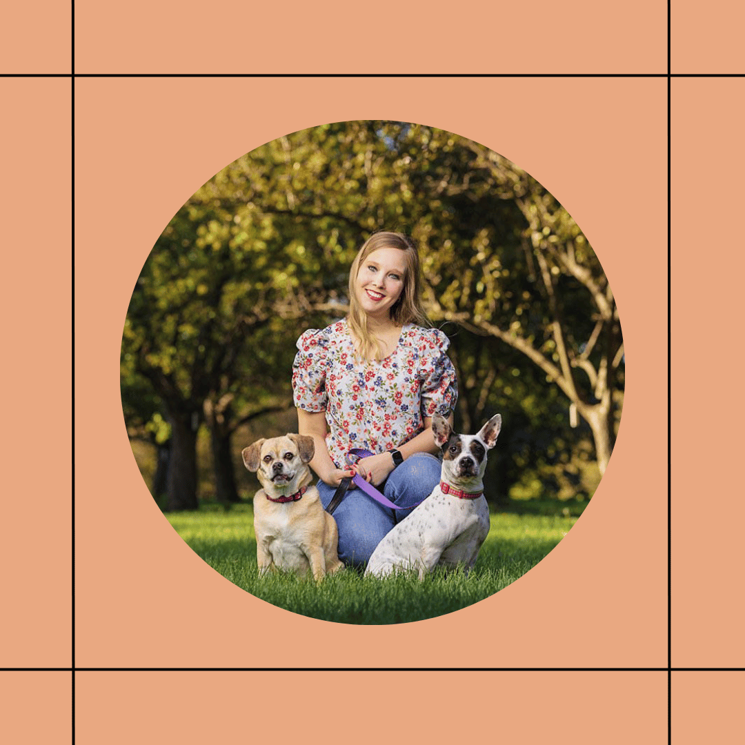 Des Moines Hummingbird with dogs
