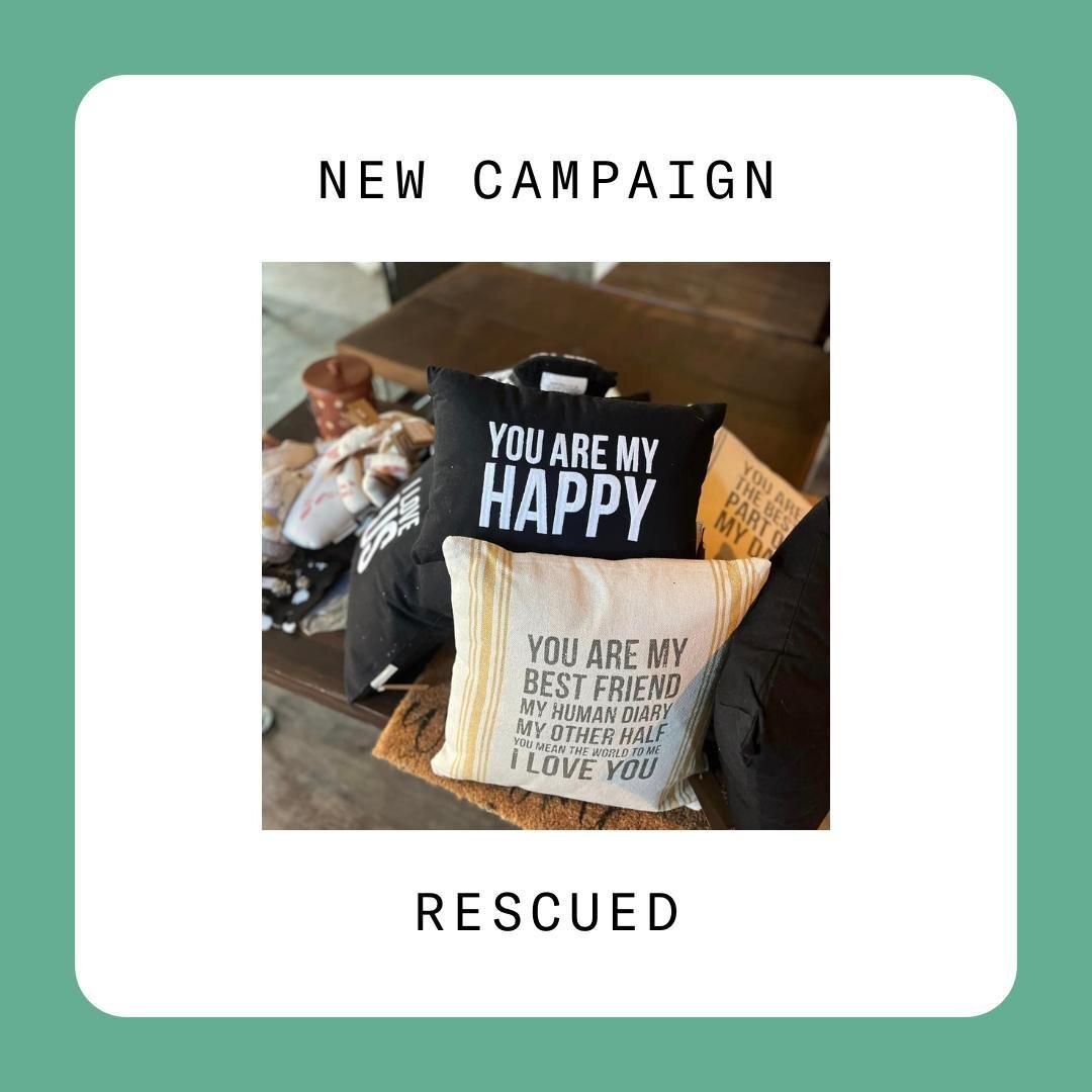 Log into the platform to see our available campaigns!

📌 $25 gift card to shop @shoprescued, the boutique that benefits pets in need!

📌  Grab 4 tickets to the Friday, March 8th @qcstorm game (Star Wars Night) + concession cash!

📌 Use a $50 @hyve