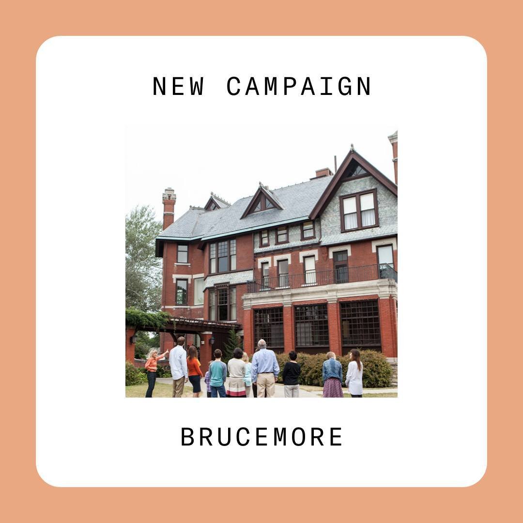 Log into the platform to see our available campaigns!

📌 Attend a private *hummingbird only* tour with a guest and other birds at @brucemoresite, a historic mansion in Cedar Rapids on Friday, March 22 from 6-8 PM! 

📌 Spring break ready with Unlead
