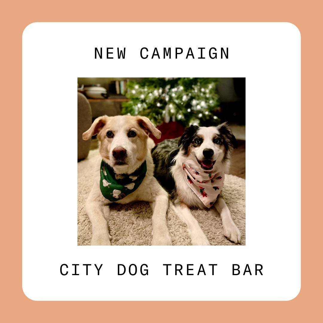 Log into the platform to see our available campaigns!

📌 Treat your dog to some treats / accessories with a $20 gift card to shop the @citydogtreatbar online!

📌 Take a trip to the @stlsymphony with a ticket for you + a guest to enjoy Disney's &quo