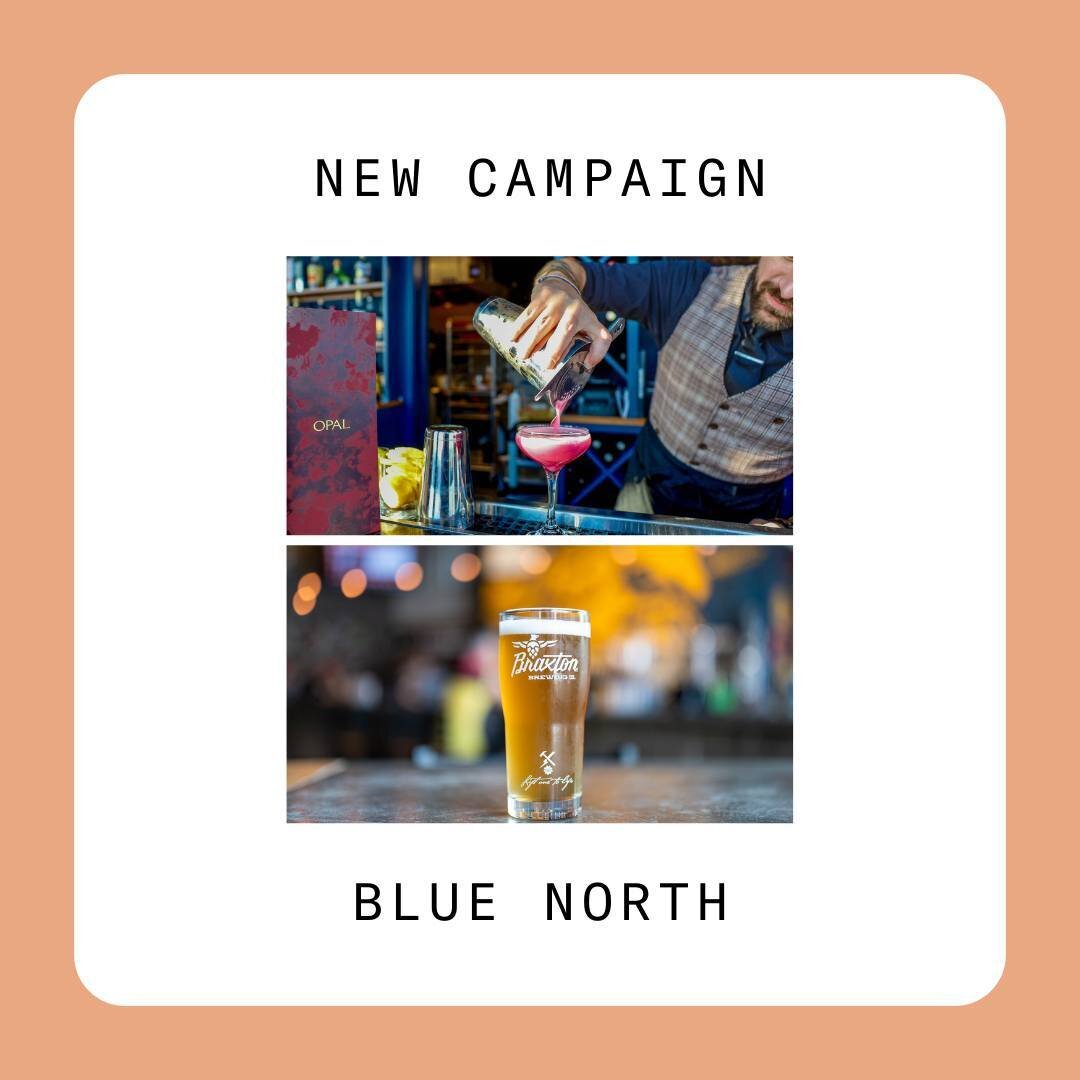 Log into the platform to see our available campaigns!

📌@wearebluenorth is inviting selected birds to visit @opalrooftop &amp; @braxtonbrewco with 2 $25 gift cards (one to spend at each spot)!

📌@wearebluenorth is inviting selected birds to visit @