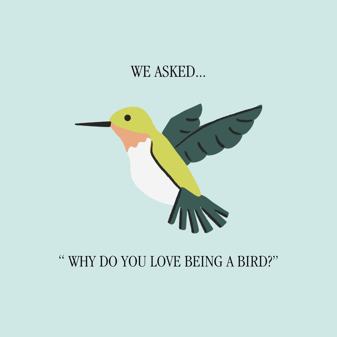 we asked our community of local creators what they love most about being a part of this group 🐦✨ whether it's amplifying local brands, discovering new ones, connecting with fellow creators, or finding fresh ways to explore and appreciate your city, 