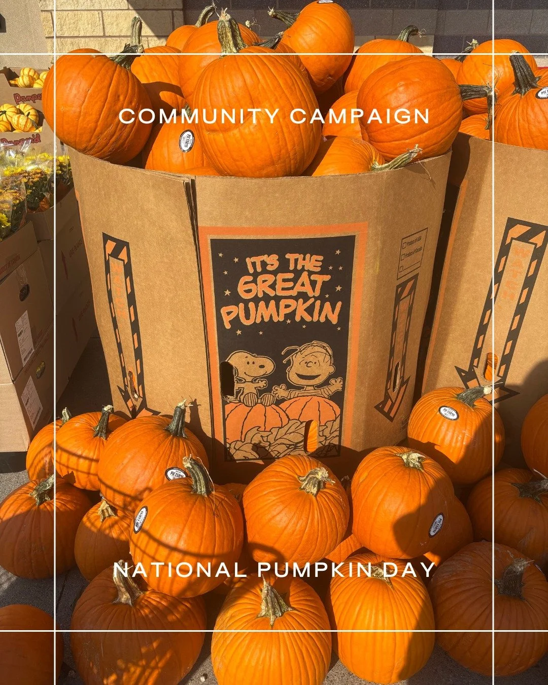 Cozy up with pumpkin 🎃

We&rsquo;re celebrating National Pumpkin Day with a Community Campaign all about pumpkin-flavored treats, local spots, and homemade creations that bring fall vibes to life.

Whether you&rsquo;re sipping a pumpkin latte, indul