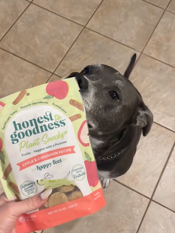 For the honest kitchen at petco-1.png