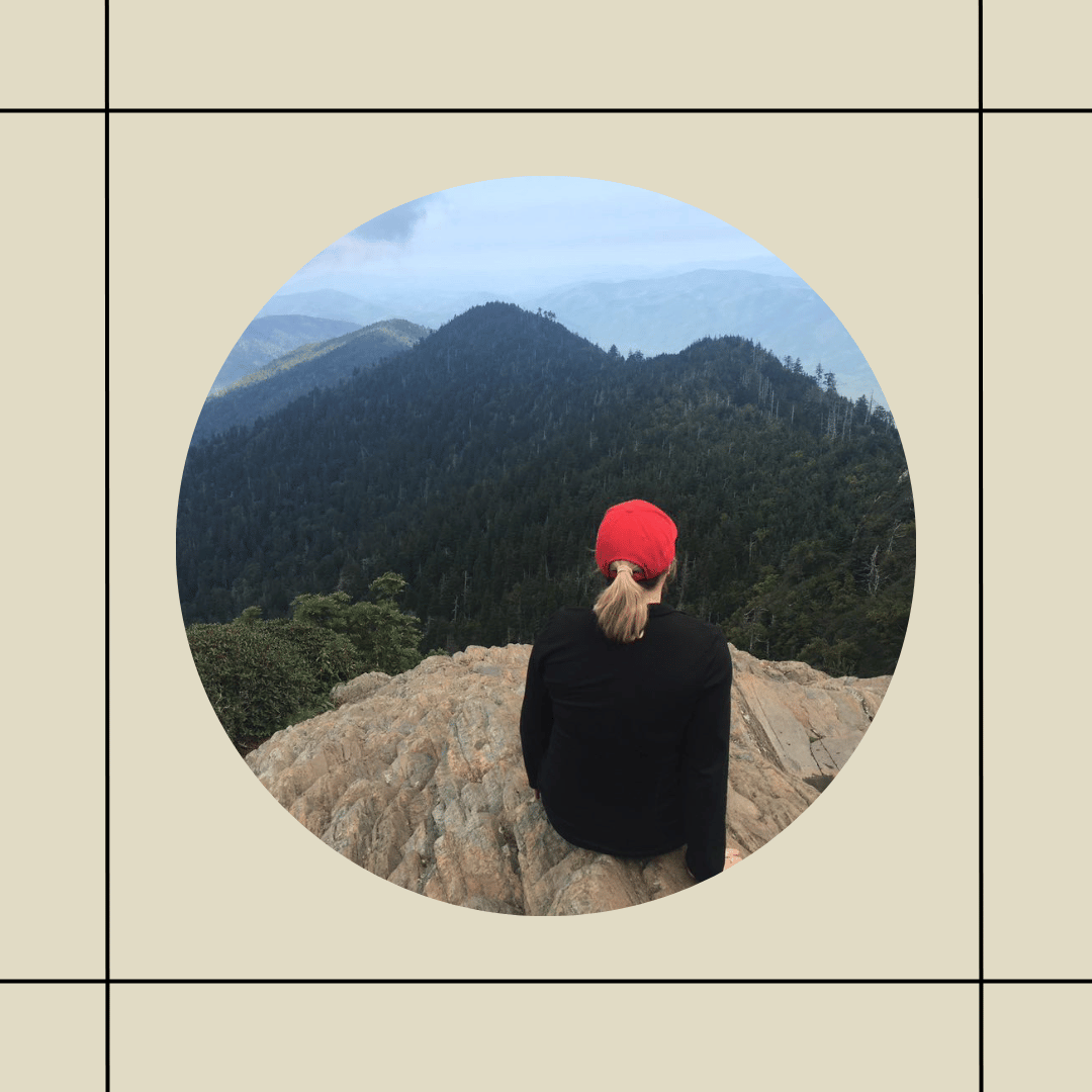 hummingbird wearing a red hat
