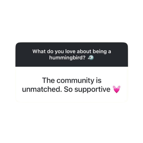 IG Bird Testimonial 1.png