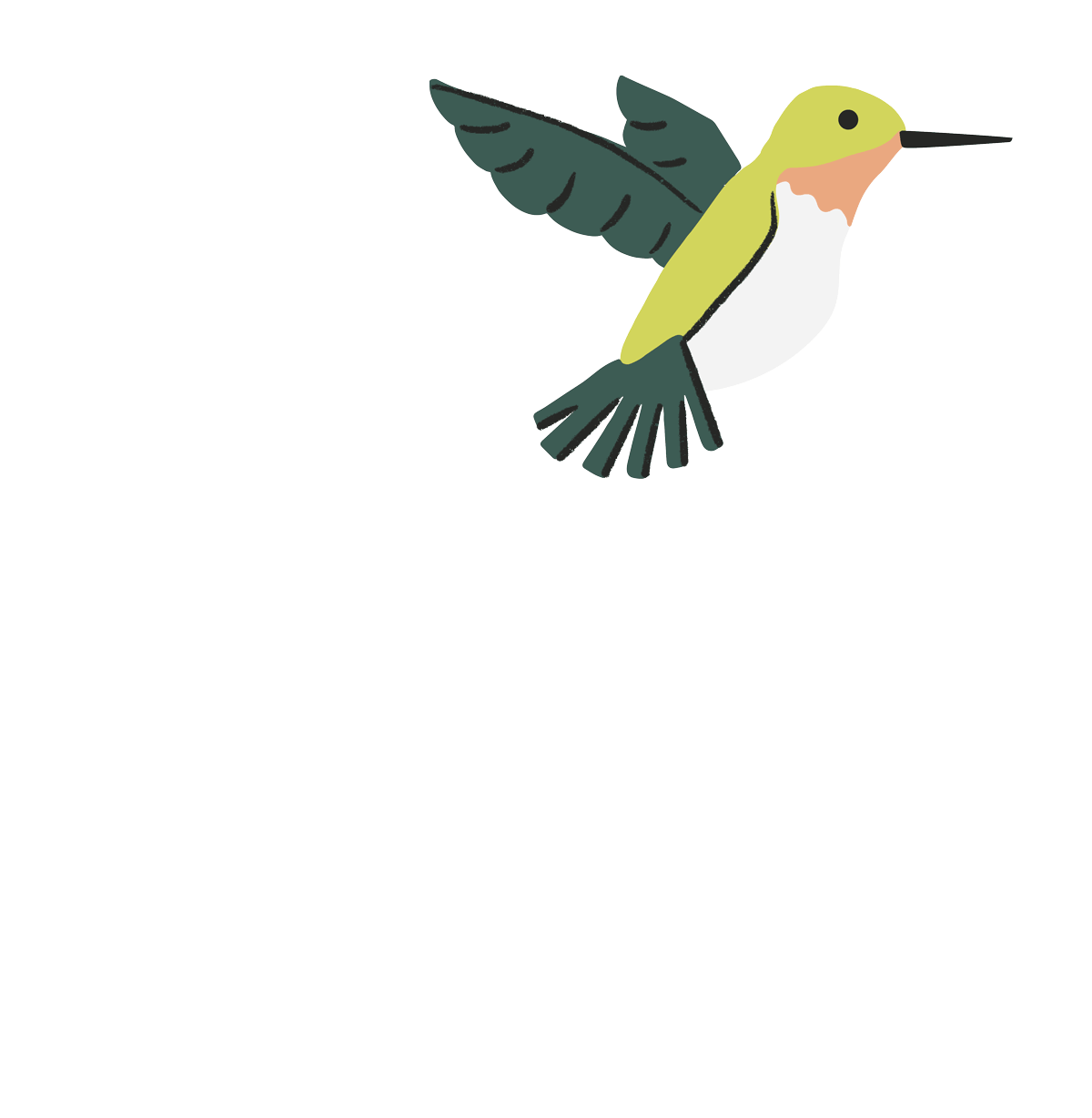 Customers — Hummingbirds blog Hummingbirds