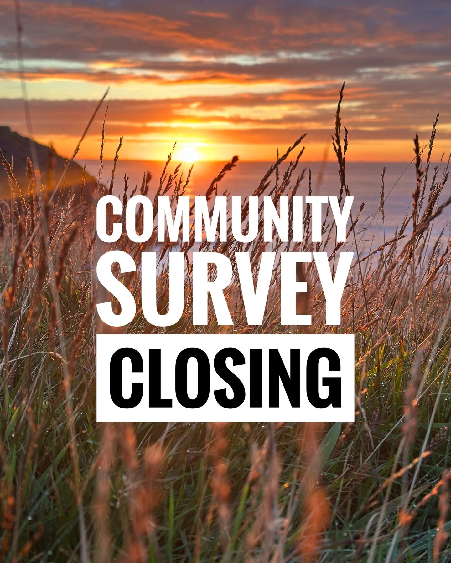 Last chance to register your opinion before the survey closes 🗳️ 

Eilean mo Ghaoil recently commissioned an online survey to measure community opinion on the N4 &ldquo;Spiorad na Mara&rdquo; nearshore development - up to 60 wind turbines up to 338 