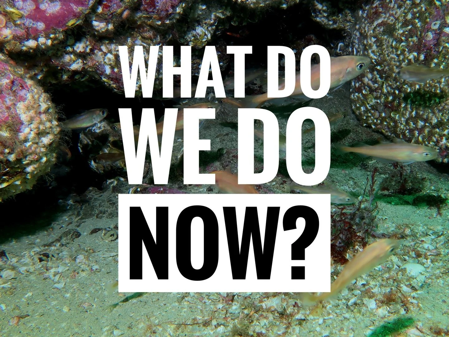 We are aware that local press have published details of our community survey but we can confirm that this survey is now *closed*. 

We received a very good response so thank you for sharing - the data is now being verified and collated. 

Meanwhile, 