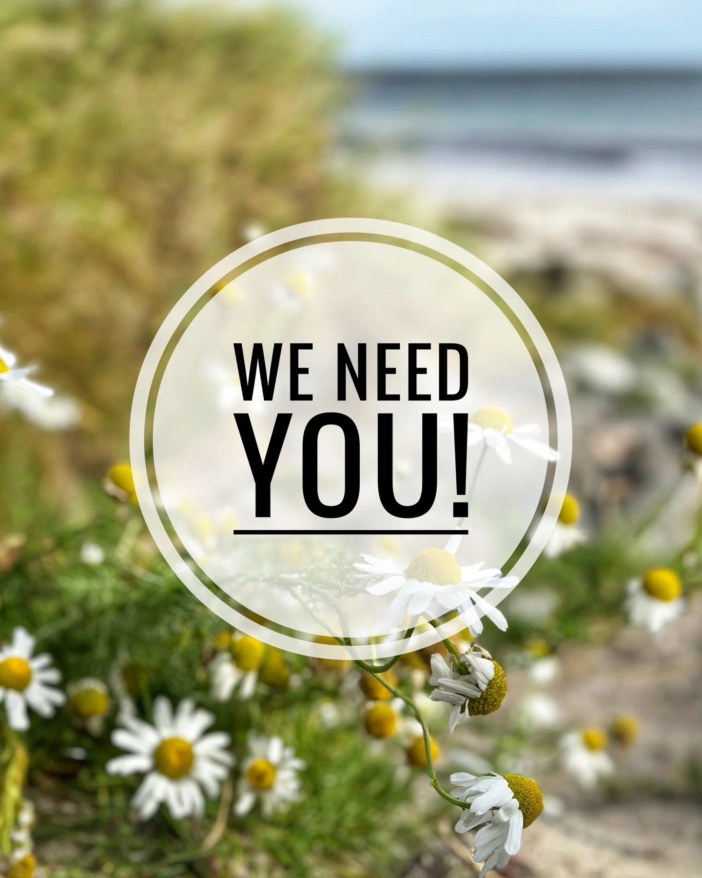 Local volunteers needed! 🏘️ 

We have spent the past few weeks carefully reviewing the hundreds of pages in N4&rsquo;s Environmental Impact Assessment Report. 

Alongside preparing a detailed group objection, we have also created:

&bull; A&nbsp;tem