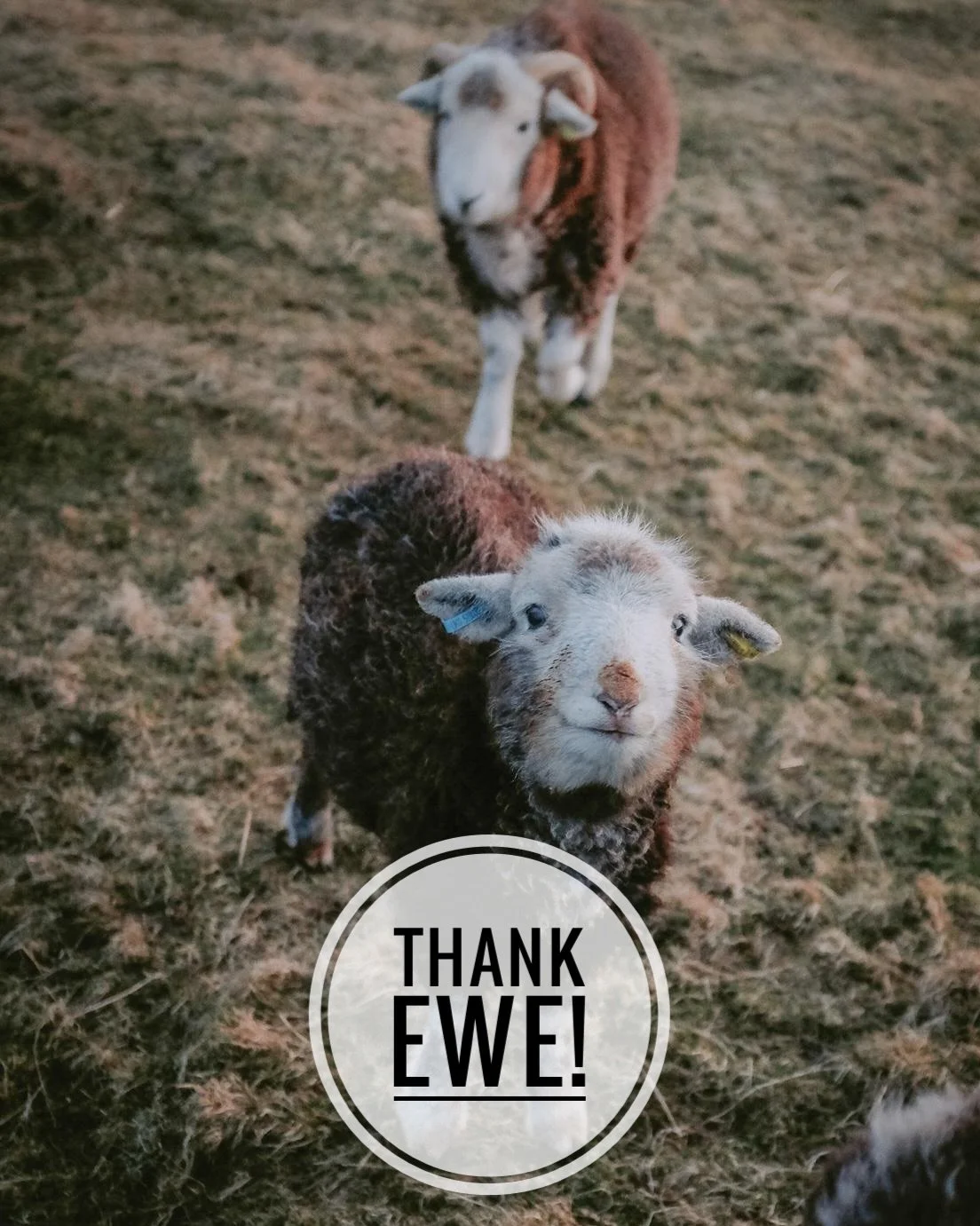 Update: the planning application for onshore works relating to N4 Spiorad na Mara has been submitted to CnES but is not yet available to view online. We will share more information as soon as we can. 

In the meantime, we have to say a huge thanks to