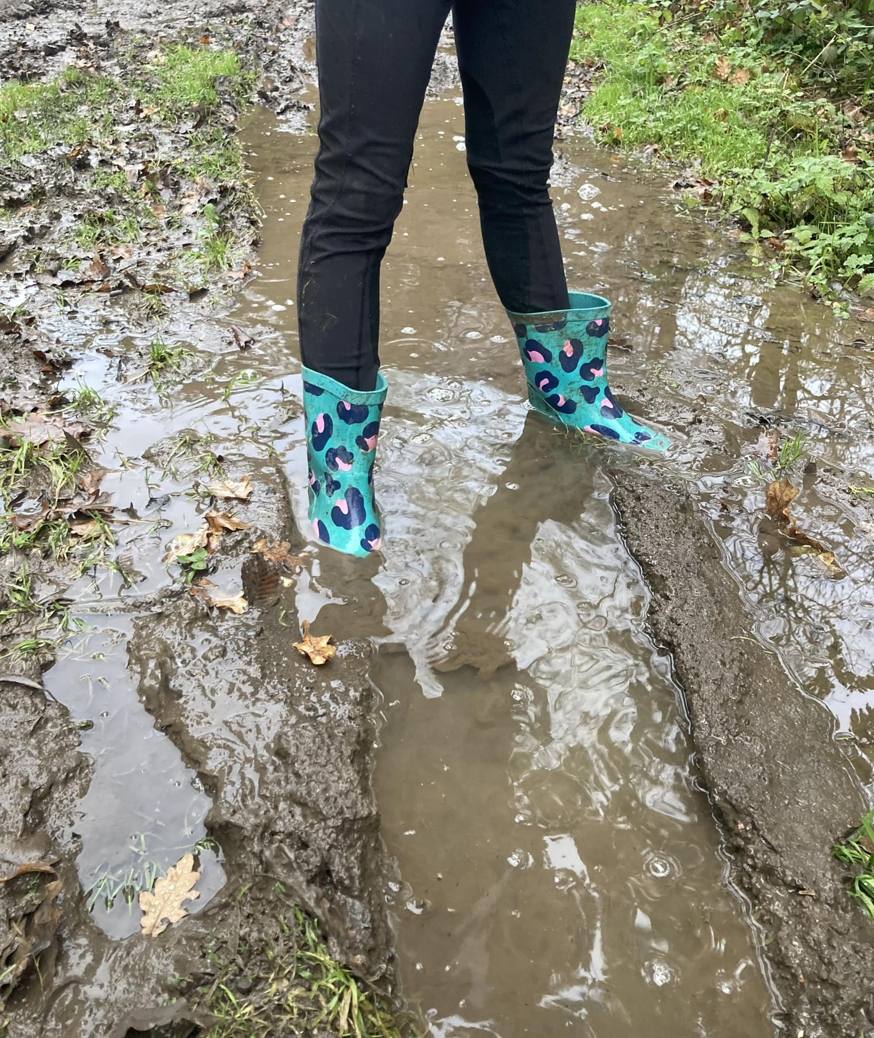 Muddy mornings