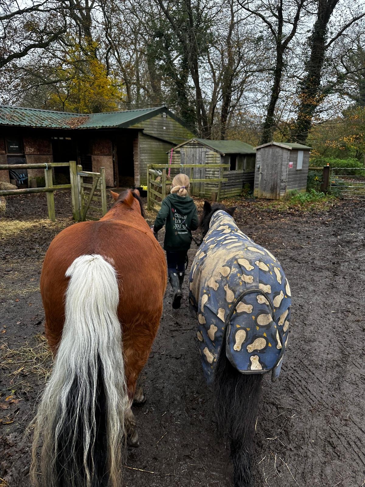 Pony Morning