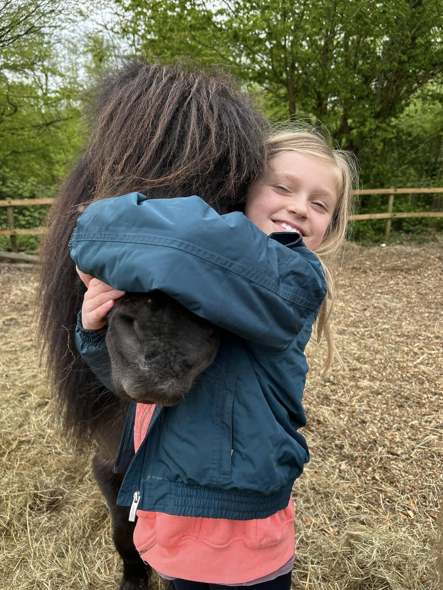 Pony Skills for Home-Schoolers