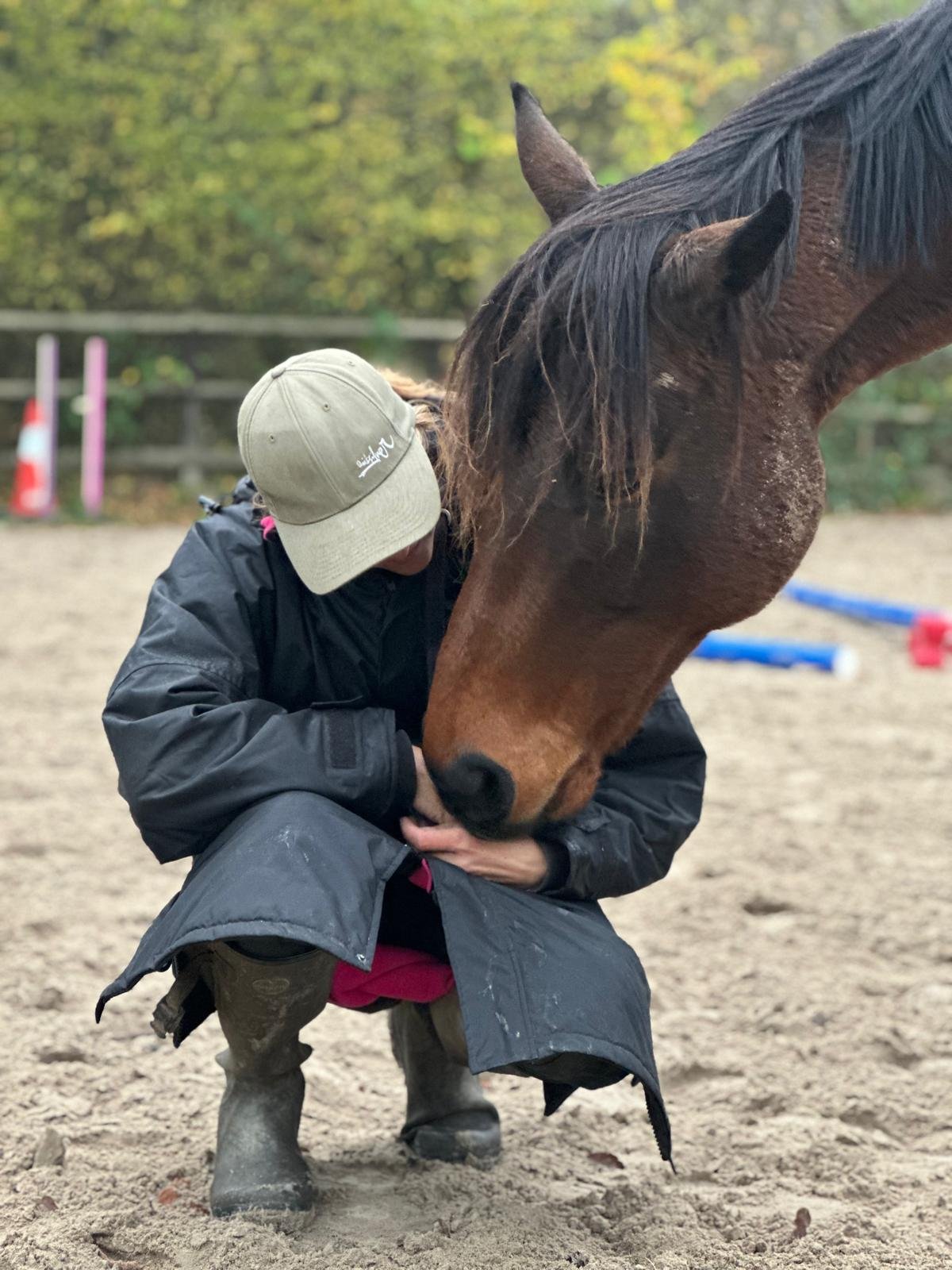 Confidence in Horsemanship