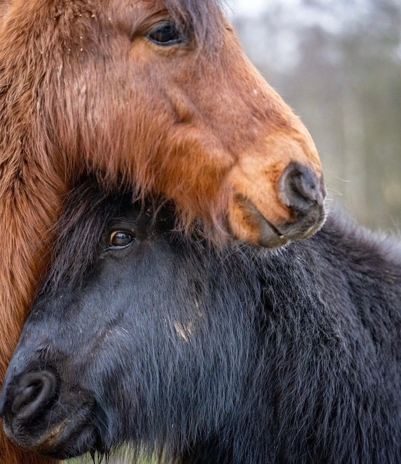 Closed for Christmas