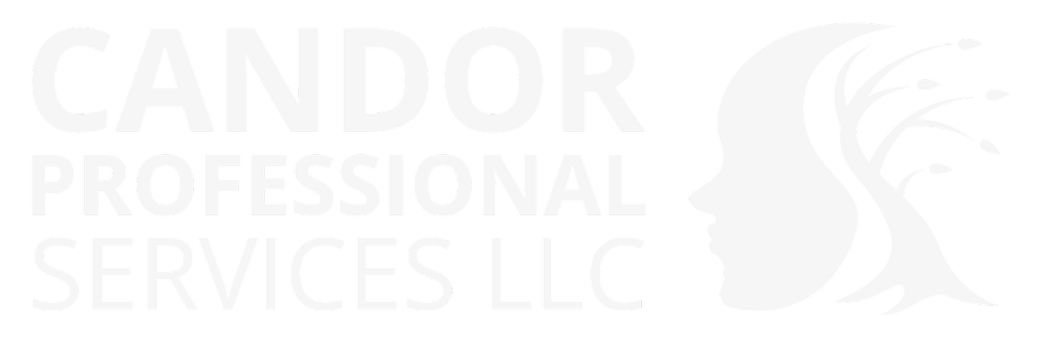 Candor Professional Services LLC