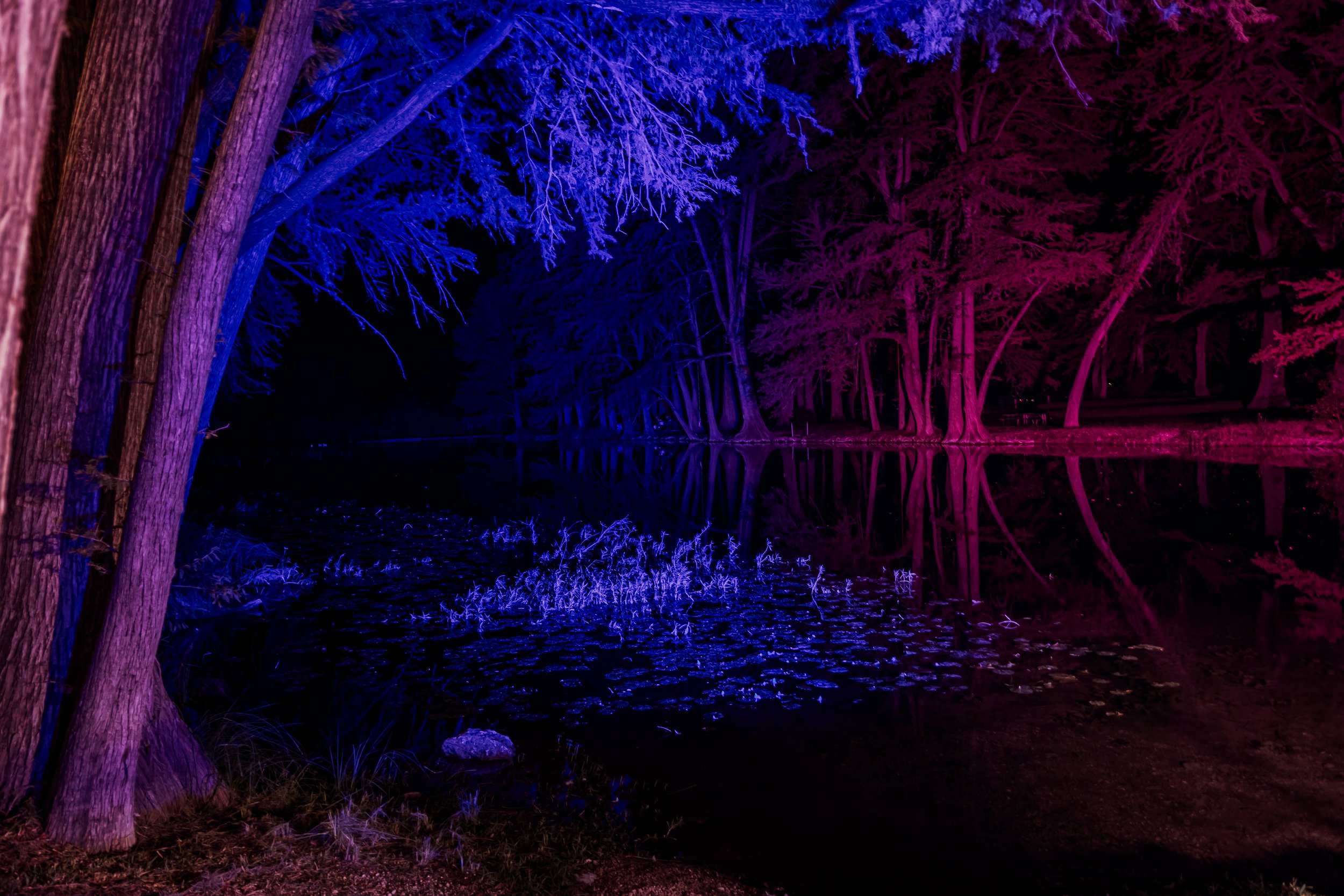 Colorful light display illuminating trees and a pond at night.
