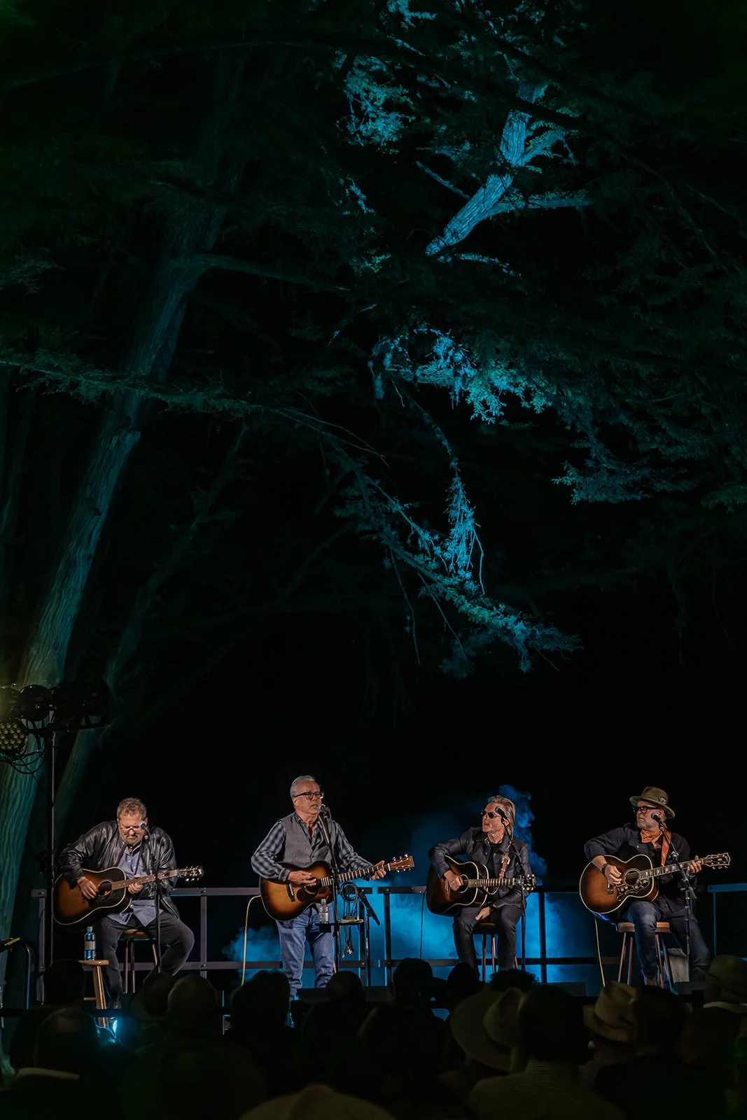 A musical performance by four men playing acoustic guitars on an outdoor stage at night, with large trees overhead and an audience in the foreground.
