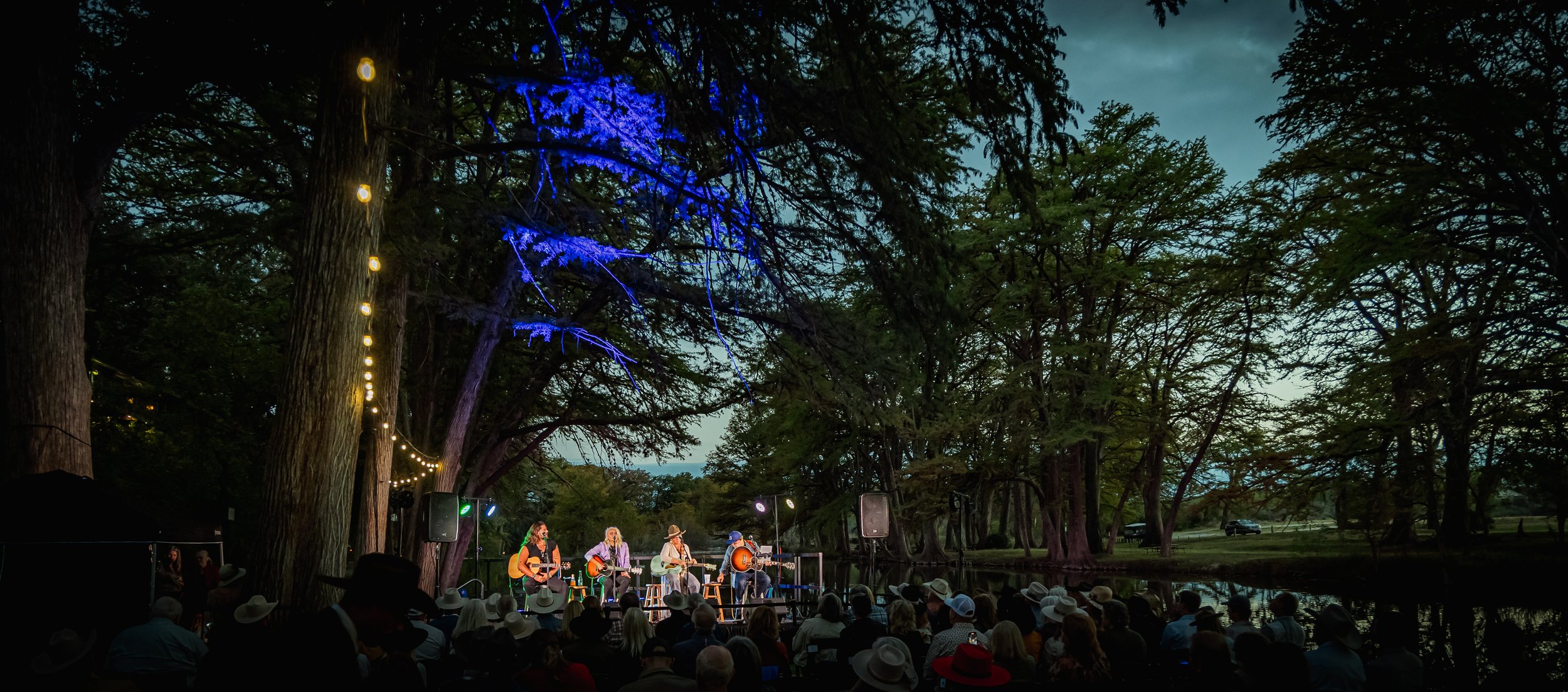 Outdoor concert at dusk with a four-member band performing on stage under large trees decorated with blue and yellow string lights, audience seated in front, some wearing hats.