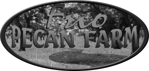 Logo for Texas Title Network with an outline of the state of Texas, a star marking a location, and the company name in brown text.