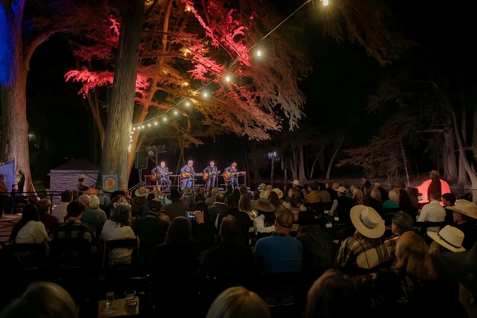 An outdoor nighttime concert with a four-member band playing guitars under string lights, audience members wearing hats and sitting in front of a big tree with pink leaves.