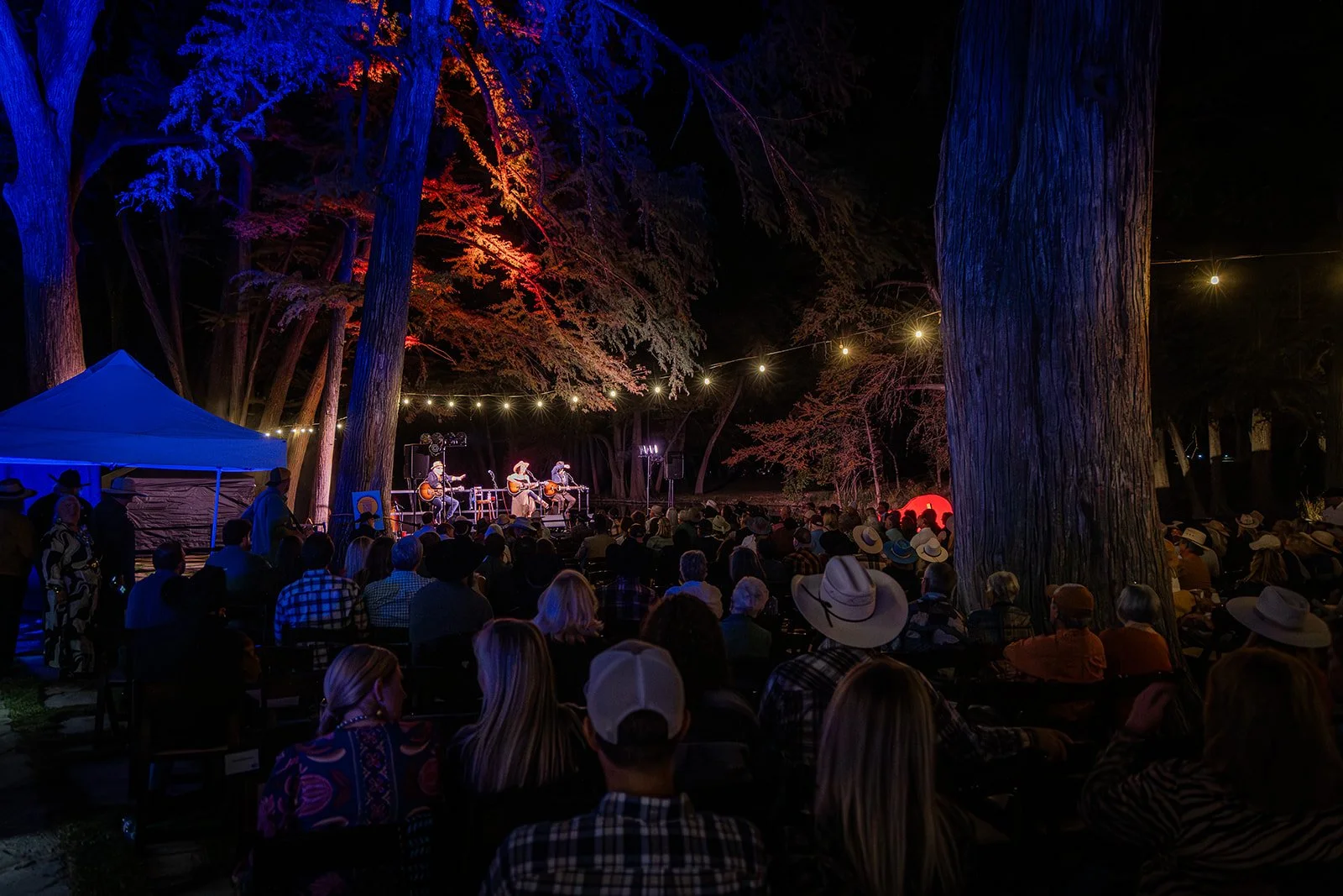 Outdoor concert at night with a band playing on a small stage under trees, illuminated by string lights, surrounded by an audience many wearing cowboy hats.