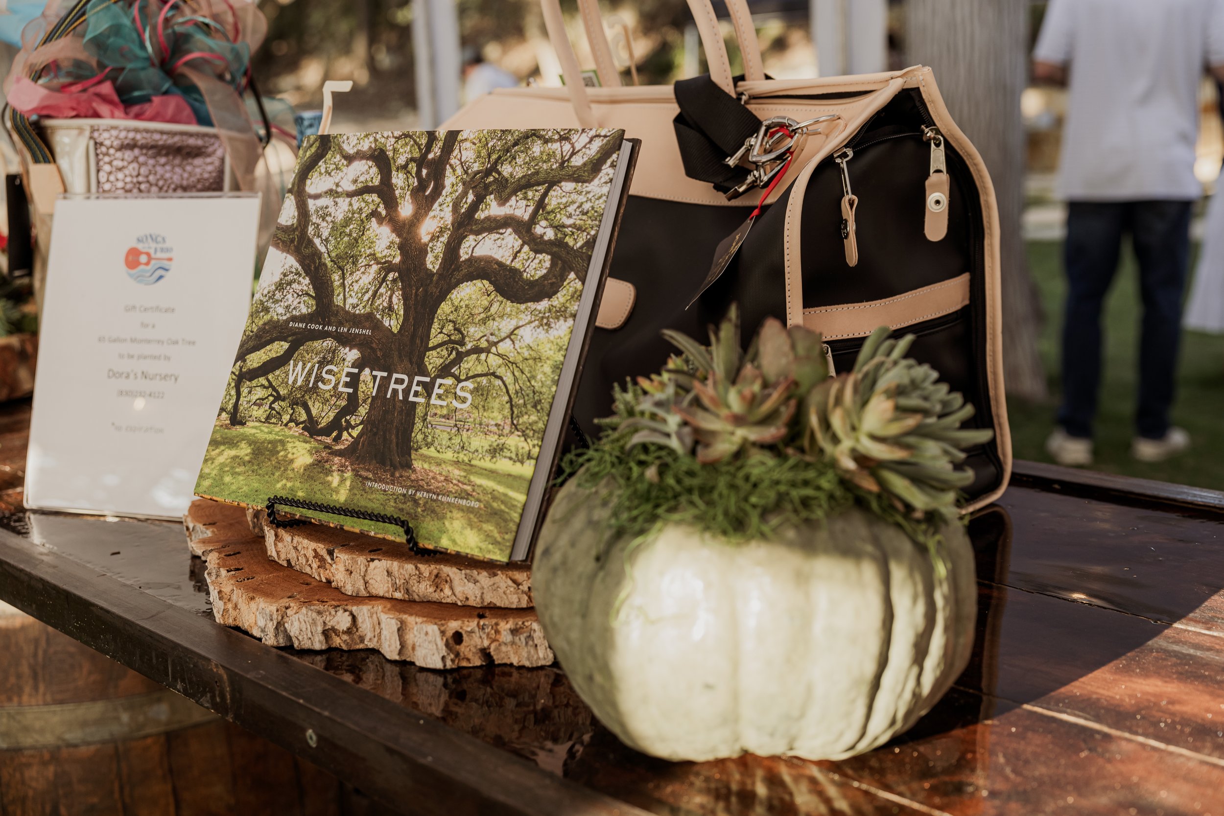 A display featuring a book titled 'Wise Trees' with a large tree on the cover, an award certificate for Dora's Nursery, a black and beige handbag, a white pumpkin-shaped planter with succulents, and a wooden table.