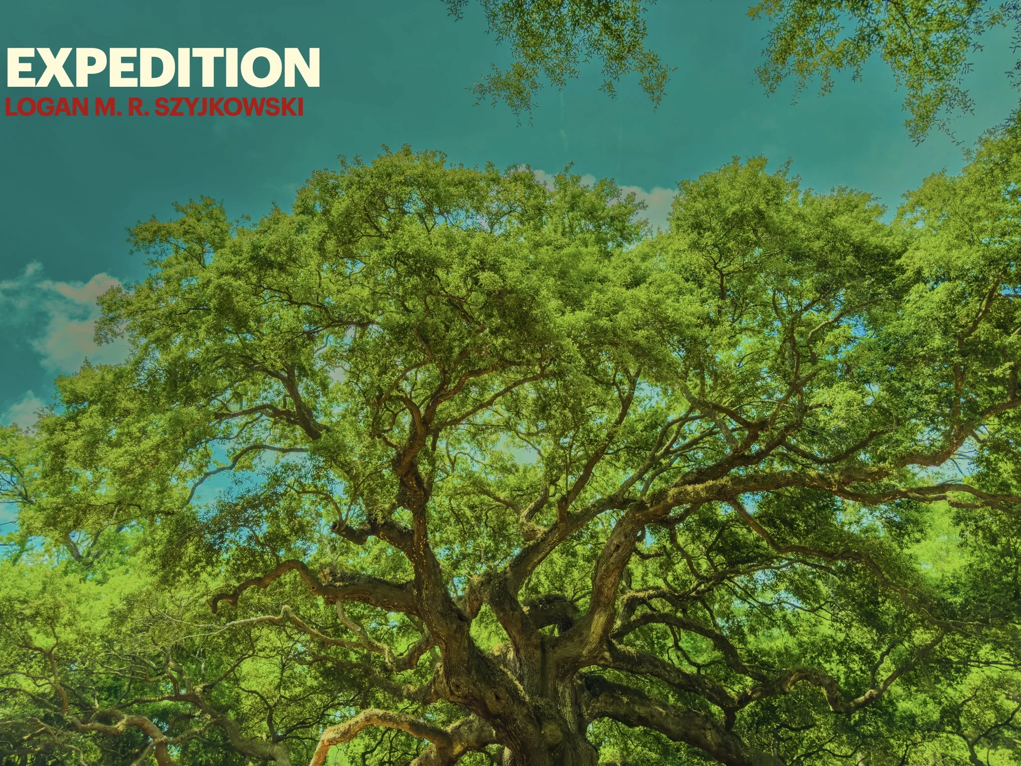 the third cover, Angel Oak Tree in Charleston, SC