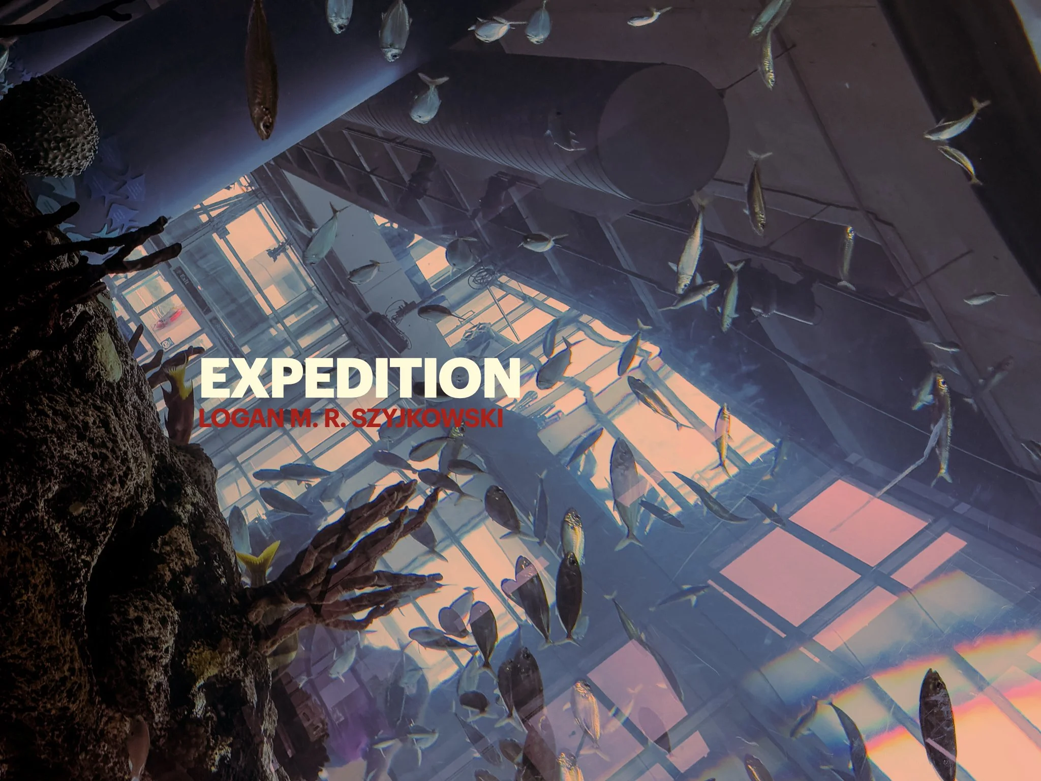 the fourth cover, a large group of fish photographed at the South Carolina Aquarium