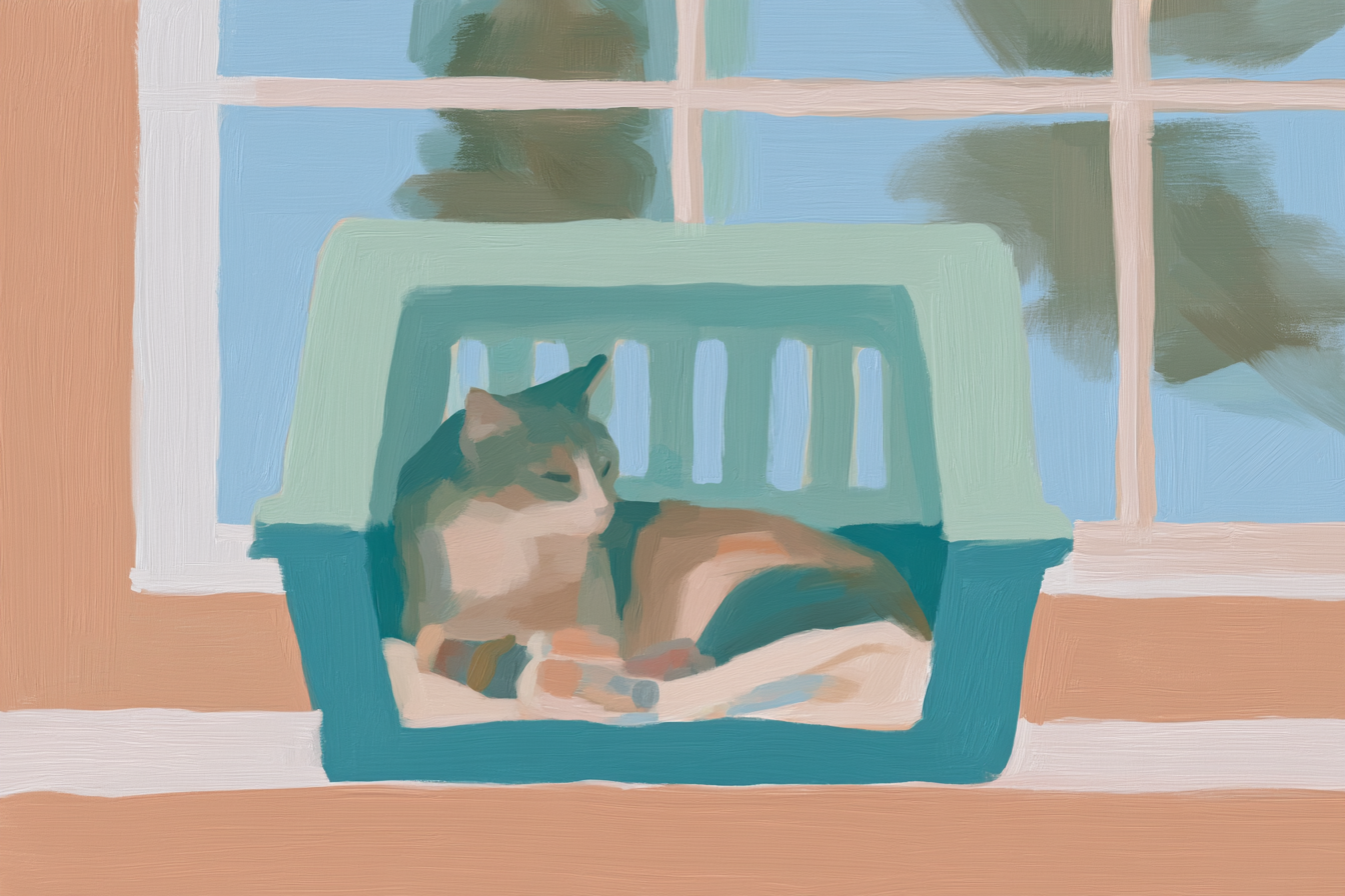 Stress-less Cat Travel: Choosing the Right Carrier