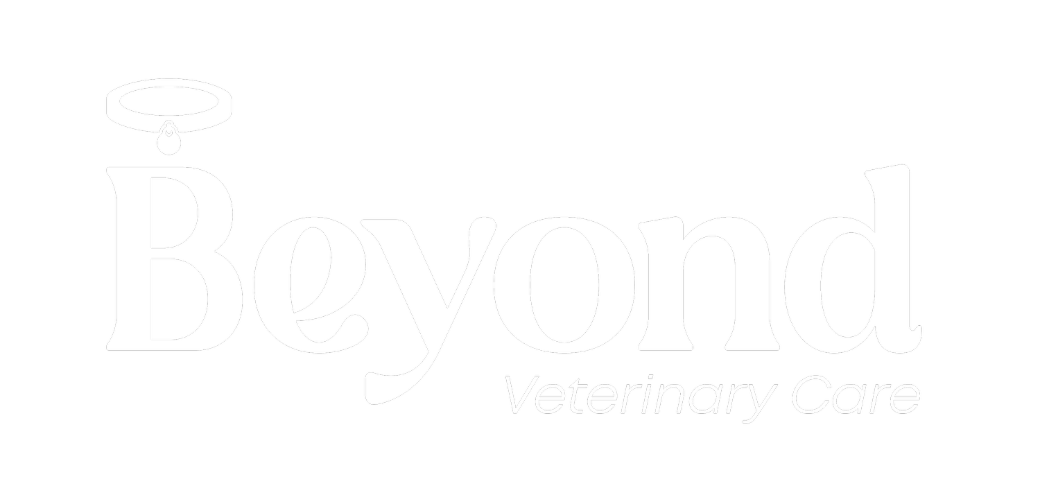 Beyond Veterinary Care