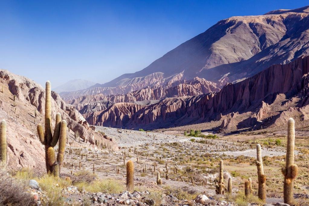 Profundo el Norte