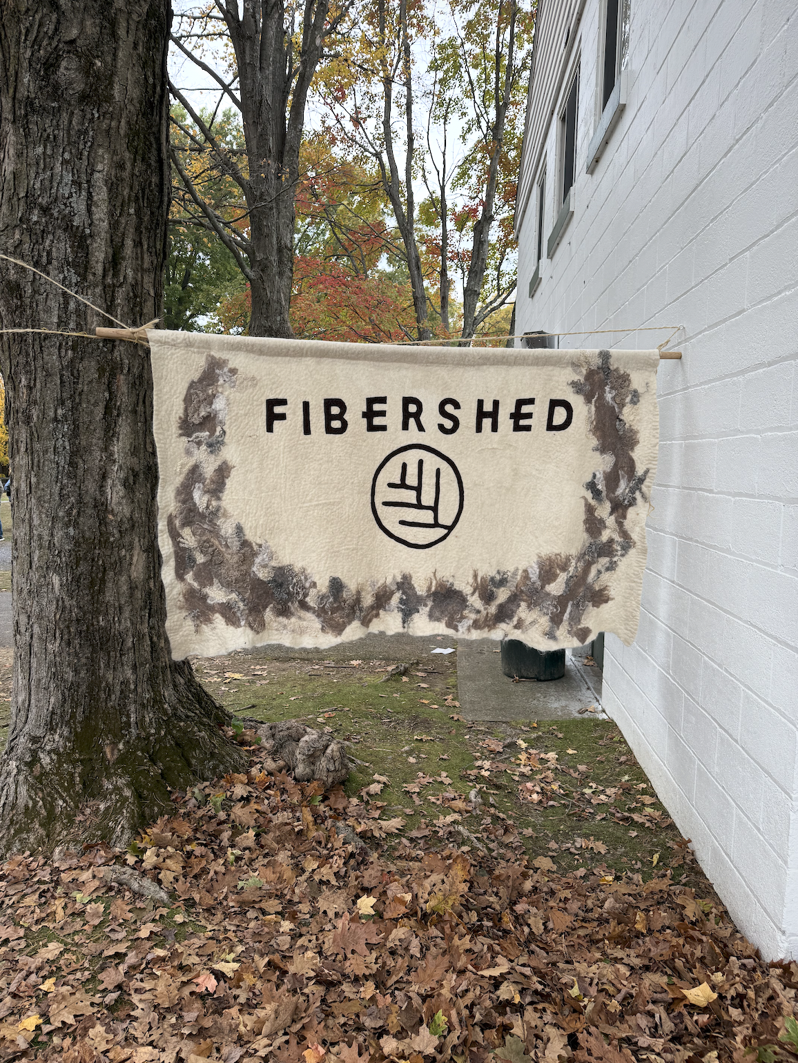 NYS Sheep & Wool Festival