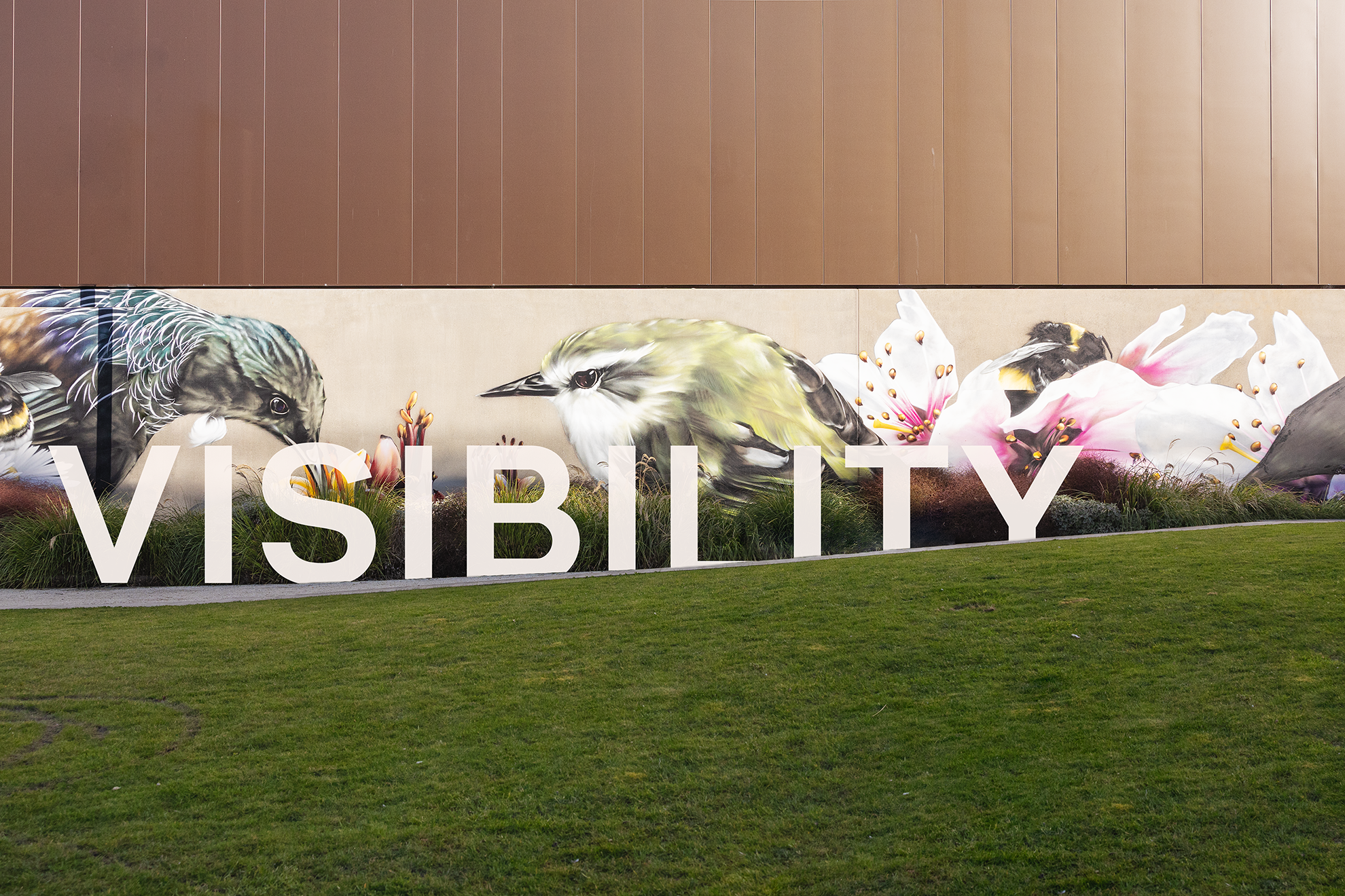 Litchfield Wall Mural Graffiti featuring 2 birds and flowers with the word Visibility in white letters set against the mural Christchurch Advertising Services Ci marketing