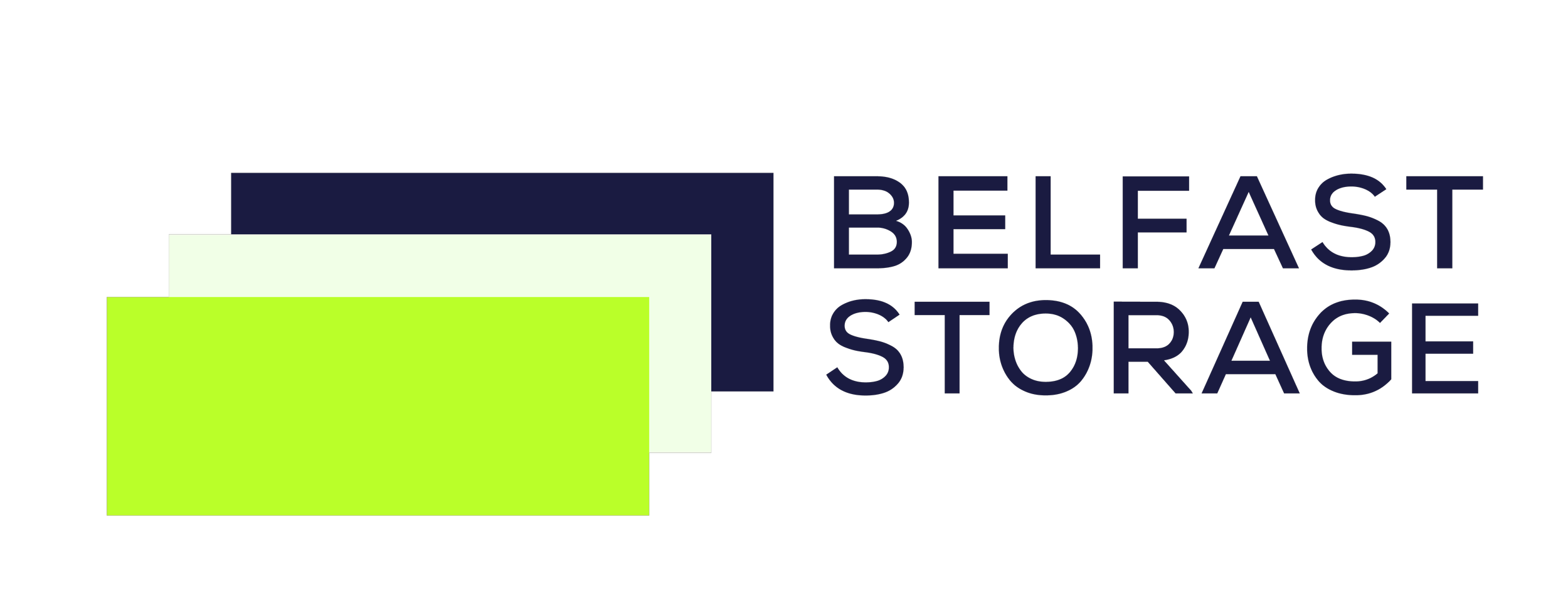 Logo_use on light background_Belfast Storage-09.png