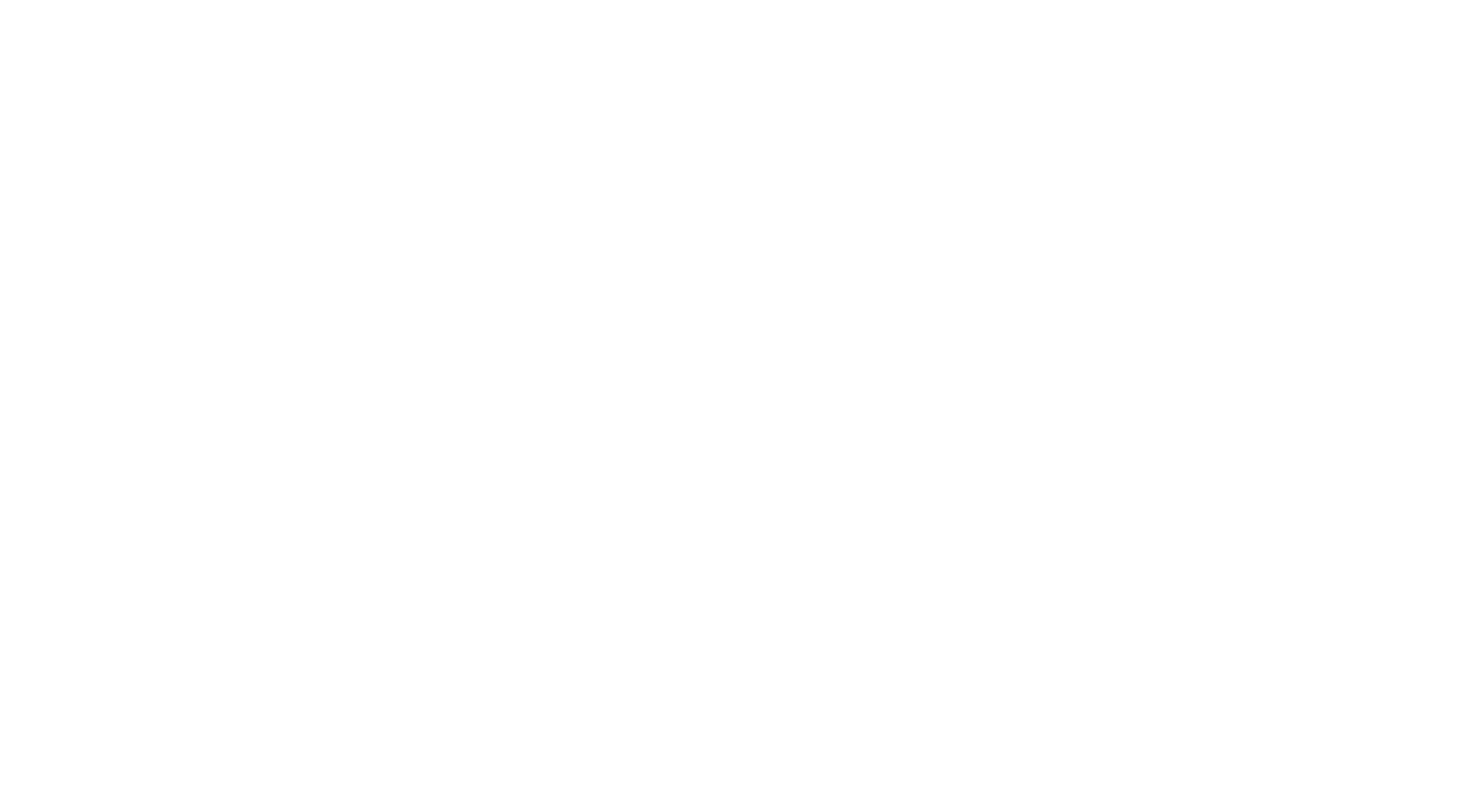 Porters Logo white transparent.png