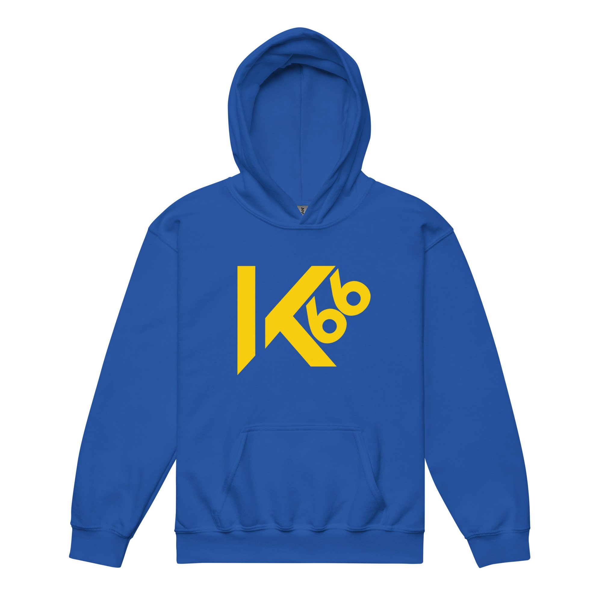 youth-heavy-blend-hoodie-royal-front-668ffea62a85b.jpg