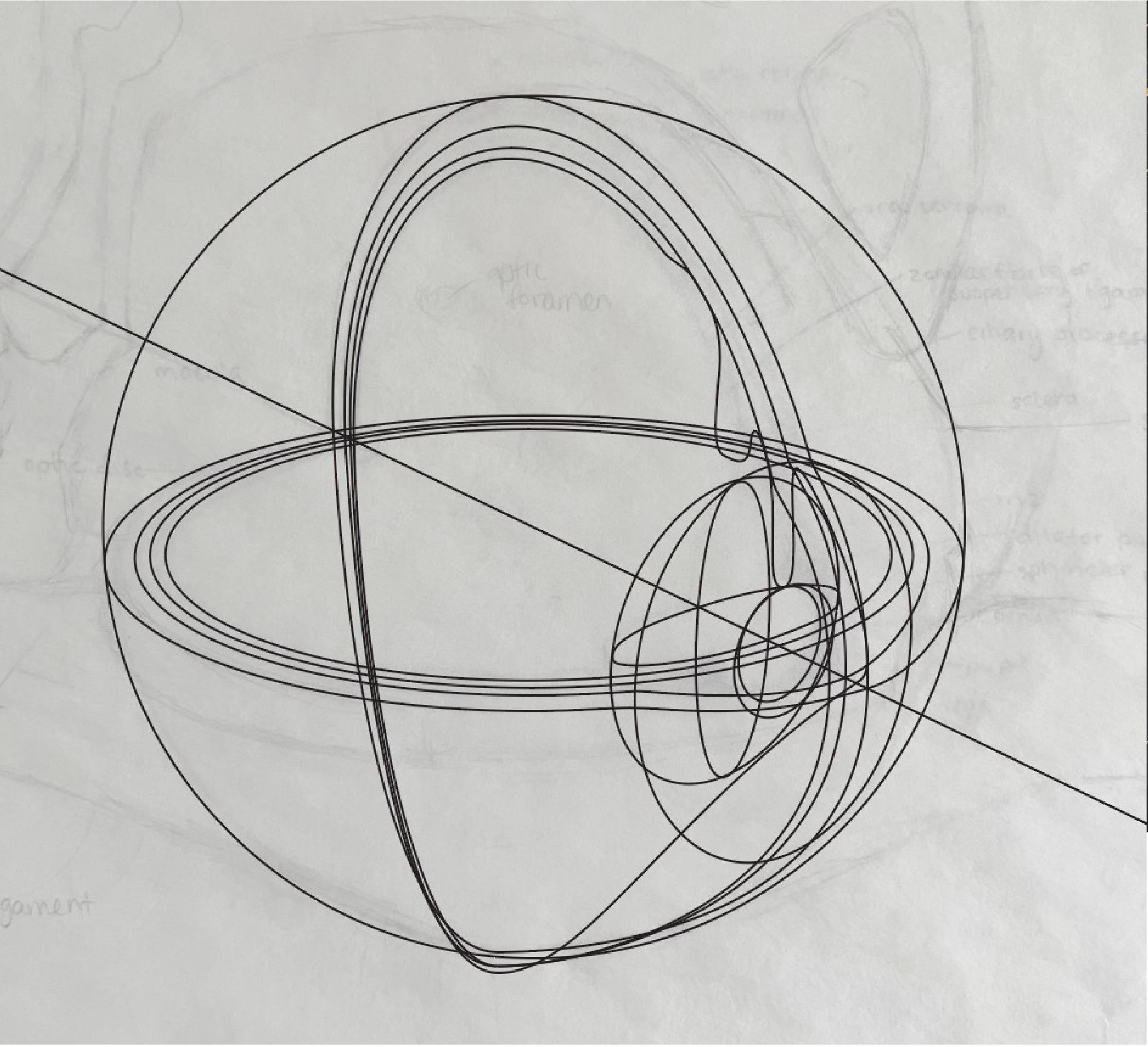 Ai outline