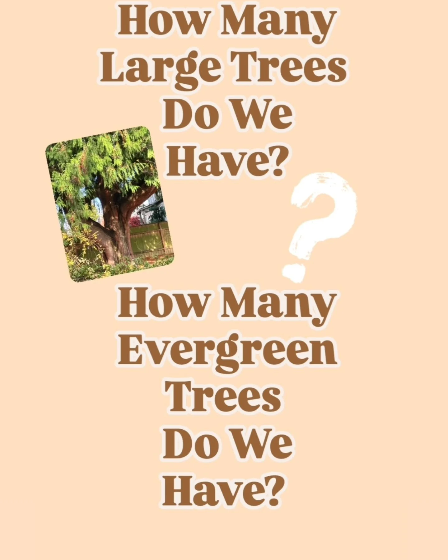The Last 6000 | Join the Tree Census