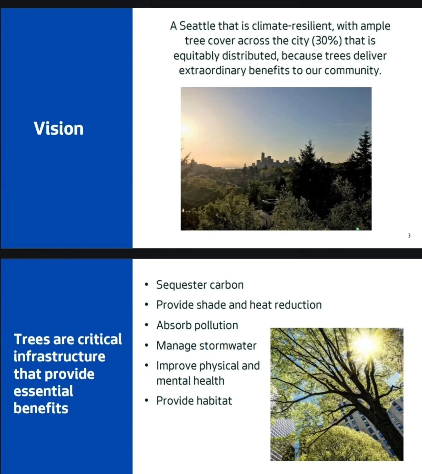 How does the City of Seattle view the urban forest? The Canopy Cover Assessment Summary breaks it down into nine city land area management units, the number of acres, and the number of trees.

Neighborhood Residential zones are home to Seattle's grea