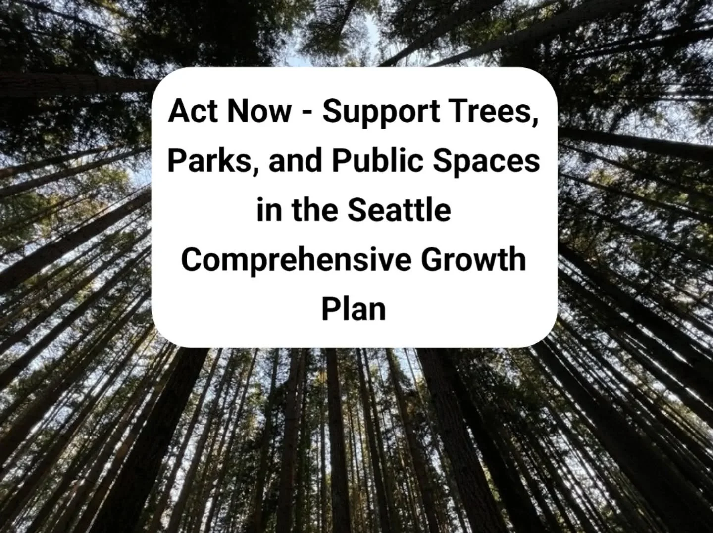 The One Seattle Plan is flawed in many ways. We have to fight to correct those flaws. The plan does not include meaningful incentives to build&nbsp;tree-saving housing designs to avoid housing that sprawls all over the lot and leave green space for m