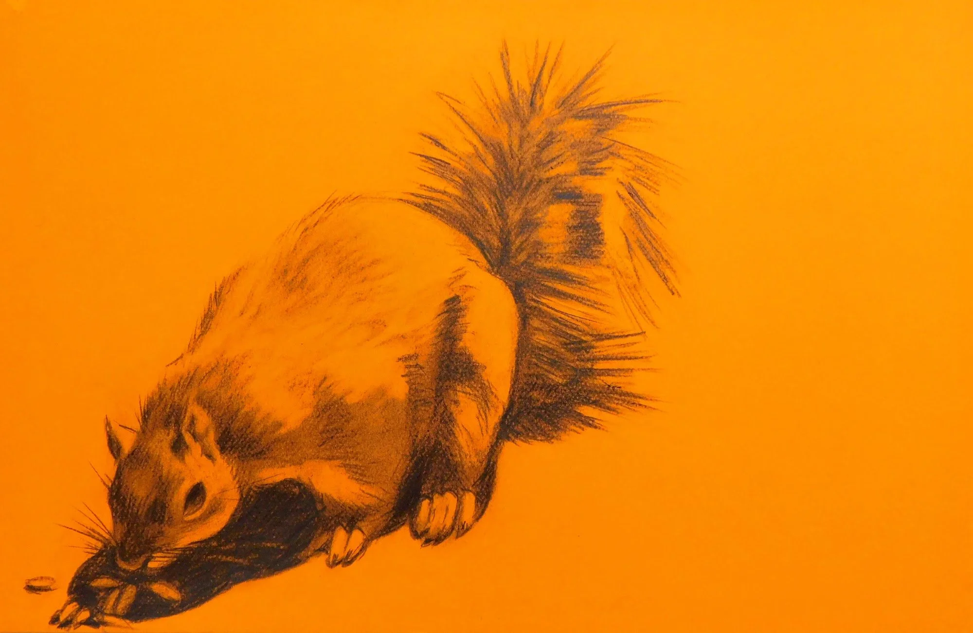 cheesman-park-plein-air-painting-drawing-trees-denver-colorado-micah-shull-art-squirrel