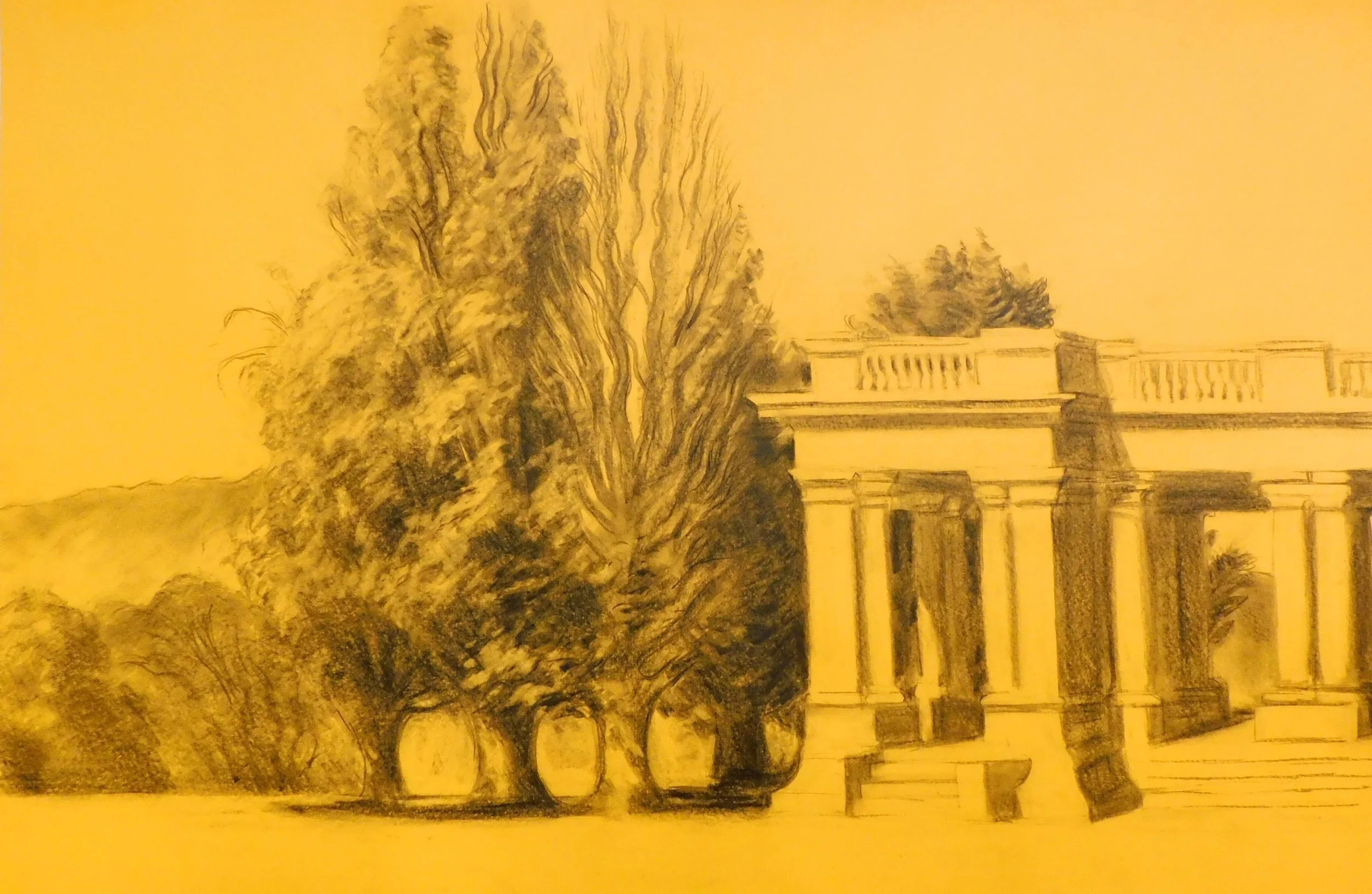 cheesman-park-plein-air-painting-drawing-trees-denver-colorado-micah-shull-art